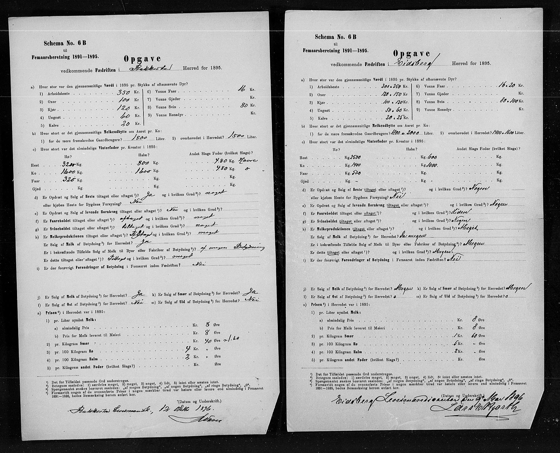 Statistisk sentralbyrå, Næringsøkonomiske emner, Generelt - Amtmennenes femårsberetninger, AV/RA-S-2233/F/Fa/L0080: --, 1895, s. 4