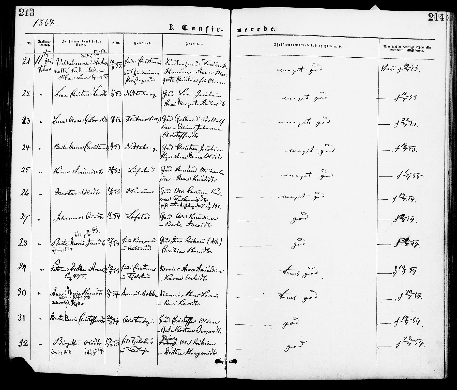 Gjerdrum prestekontor Kirkebøker, AV/SAO-A-10412b/F/Fa/L0008: Ministerialbok nr. I 8, 1867-1880, s. 213-214
