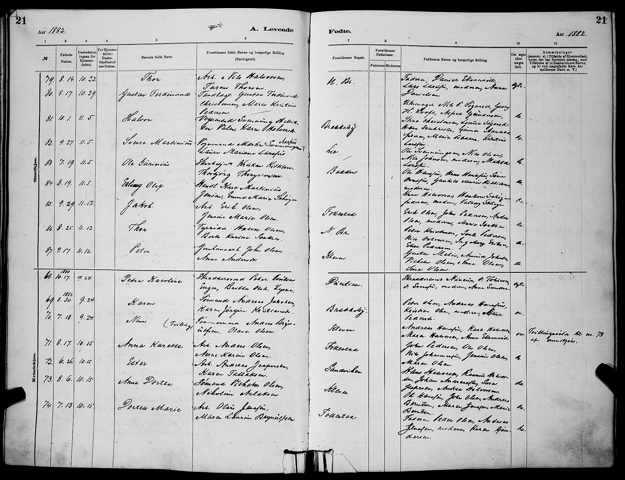 Skien kirkebøker, AV/SAKO-A-302/G/Ga/L0006: Klokkerbok nr. 6, 1881-1890, s. 21