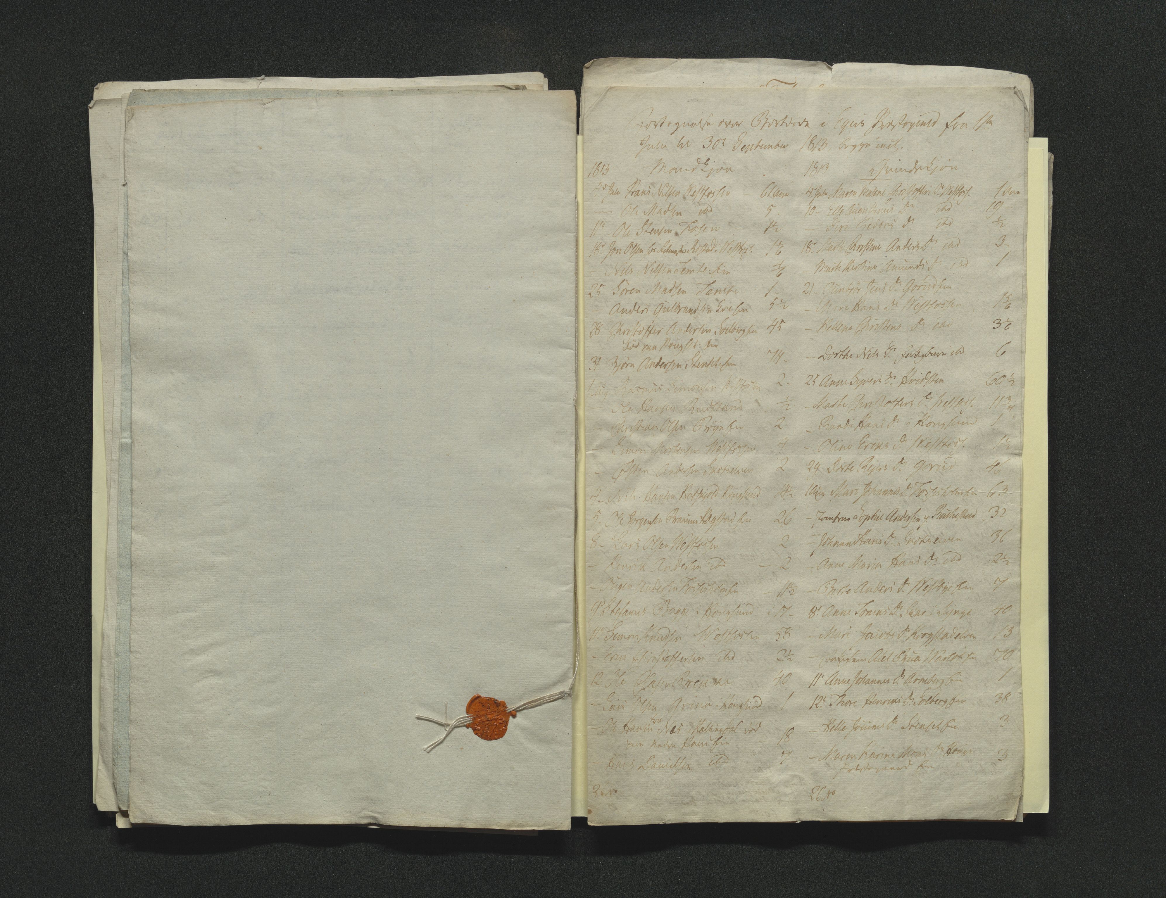 Eiker, Modum og Sigdal sorenskriveri, AV/SAKO-A-123/H/Ha/Hab/L0001: Dødsfallsmeldinger, 1812-1822, s. 24