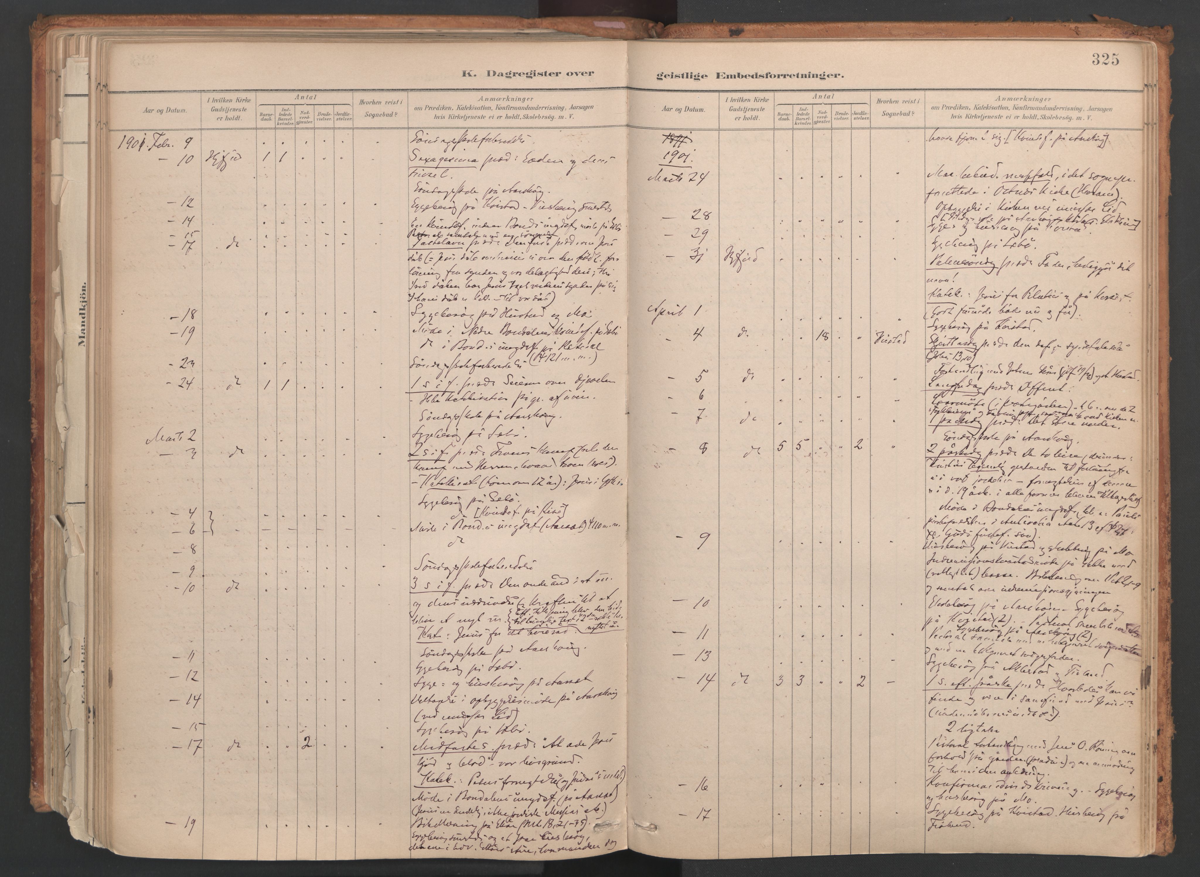 Ministerialprotokoller, klokkerbøker og fødselsregistre - Møre og Romsdal, AV/SAT-A-1454/515/L0211: Ministerialbok nr. 515A07, 1886-1910, s. 325