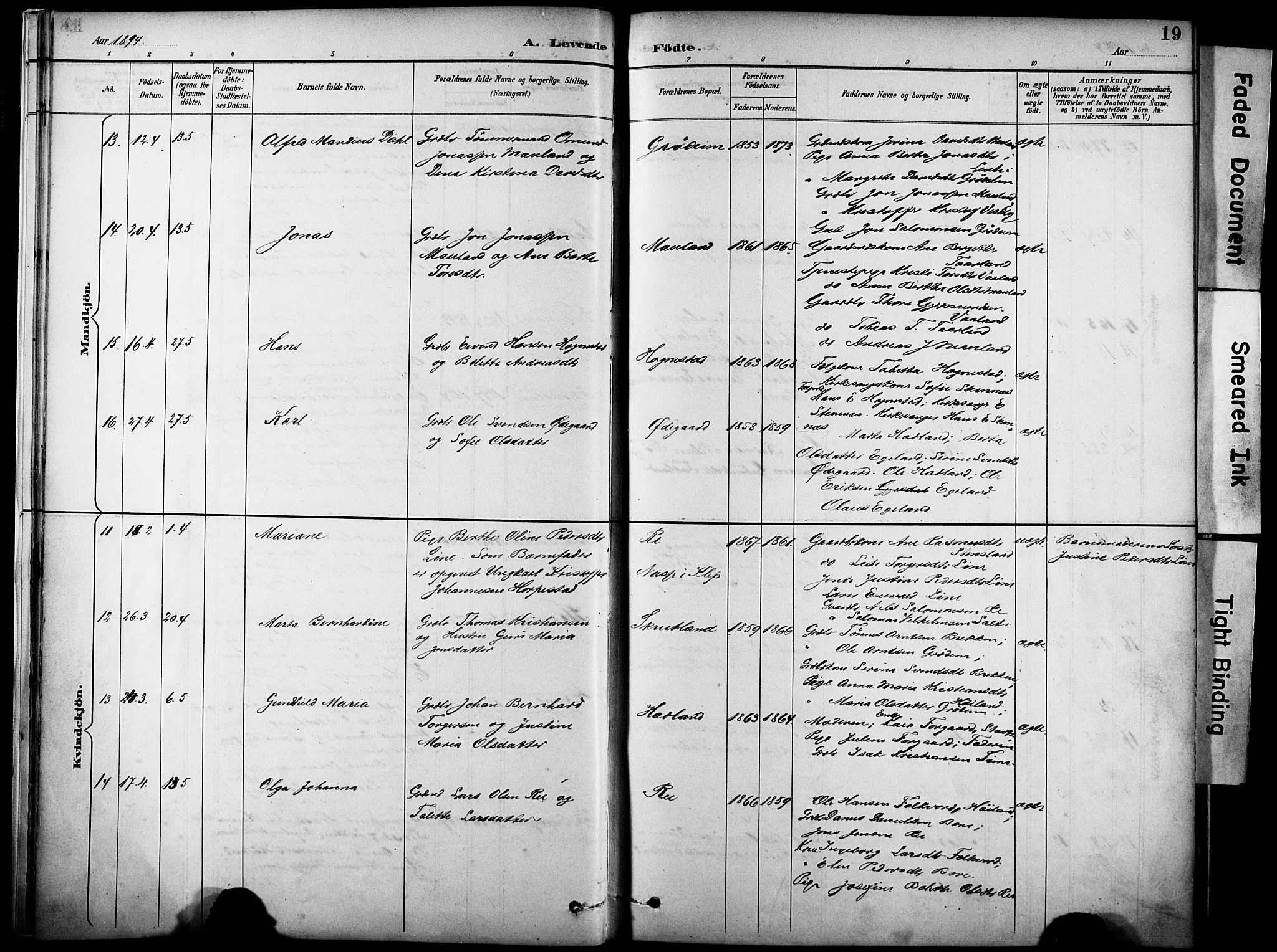 Lye sokneprestkontor, AV/SAST-A-101794/001/30BA/L0011: Ministerialbok nr. A 9, 1893-1903, s. 19
