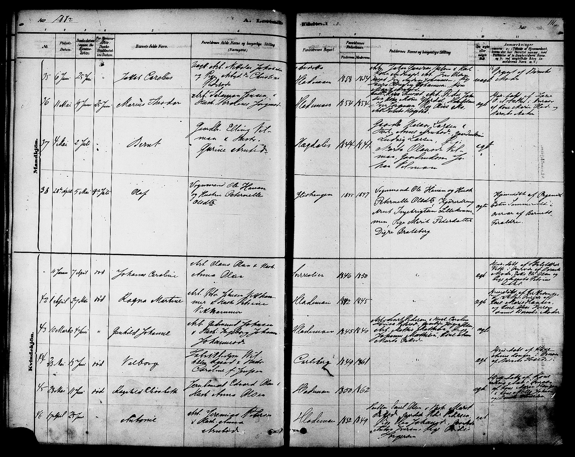 Ministerialprotokoller, klokkerbøker og fødselsregistre - Sør-Trøndelag, SAT/A-1456/606/L0294: Ministerialbok nr. 606A09, 1878-1886, s. 111