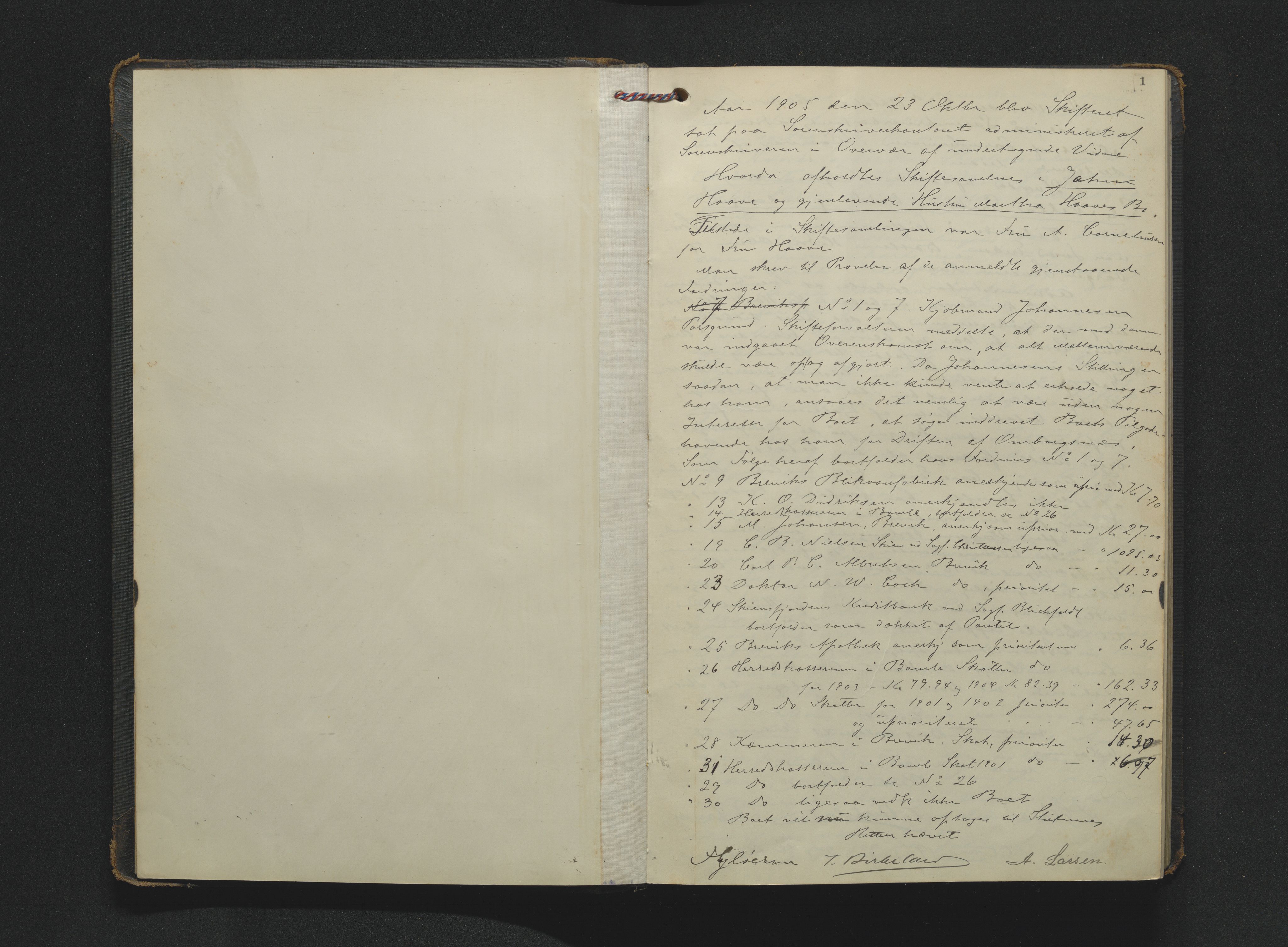 Bamble sorenskriveri, AV/SAKO-A-214/H/Hb/Hbc/L0016: Skifteforhandlingsprotokoll, 1905-1909, s. 1