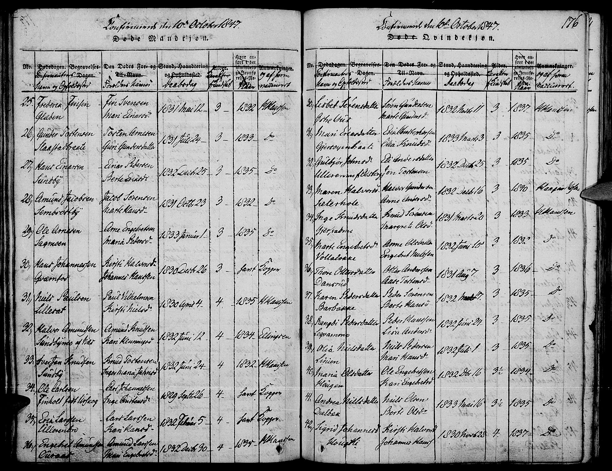 Strøm-Odalen prestekontor, AV/SAH-PREST-028/H/Ha/Haa/L0006: Ministerialbok nr. 6, 1814-1850, s. 176