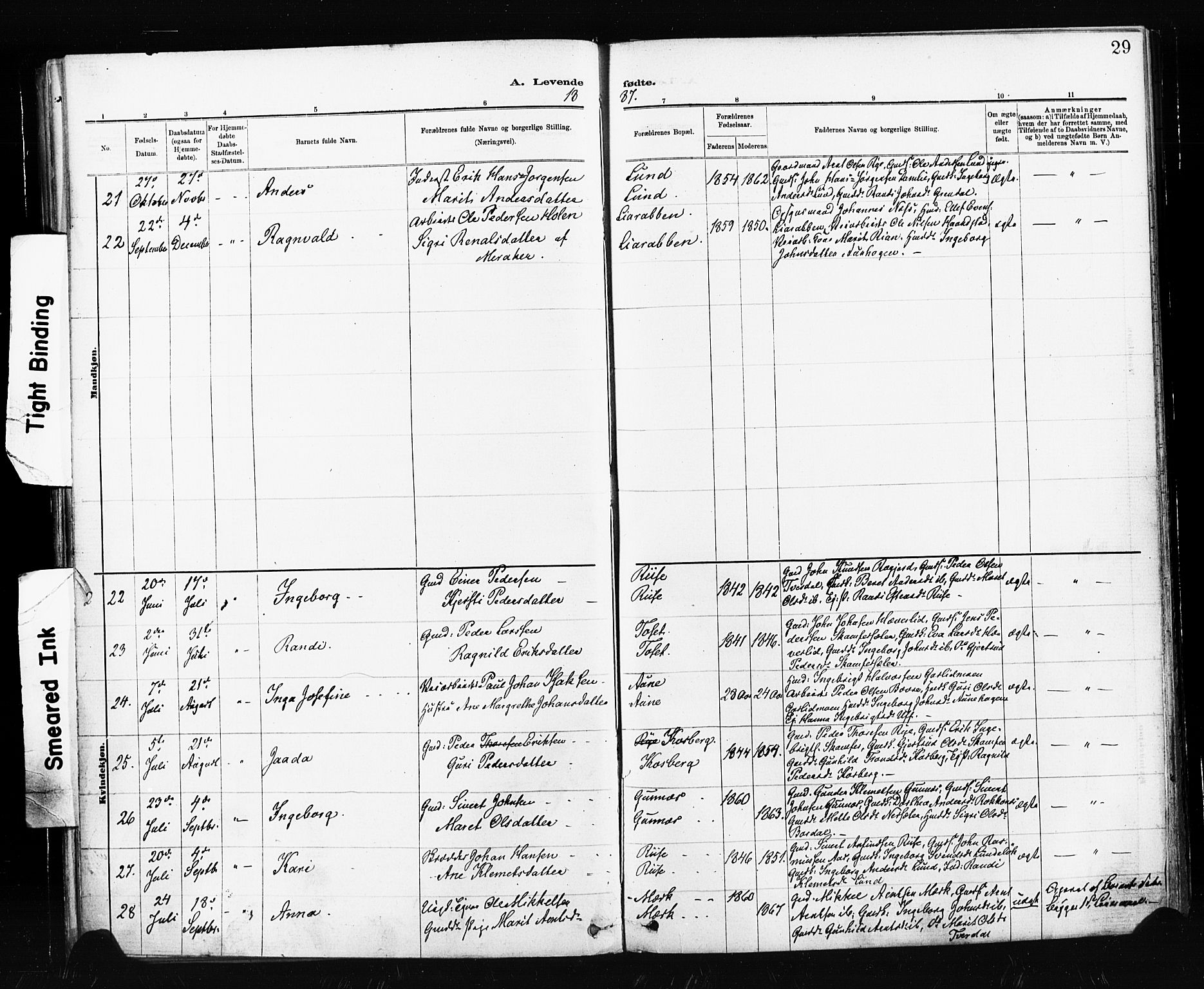 Ministerialprotokoller, klokkerbøker og fødselsregistre - Sør-Trøndelag, SAT/A-1456/674/L0871: Ministerialbok nr. 674A03, 1880-1896, s. 29