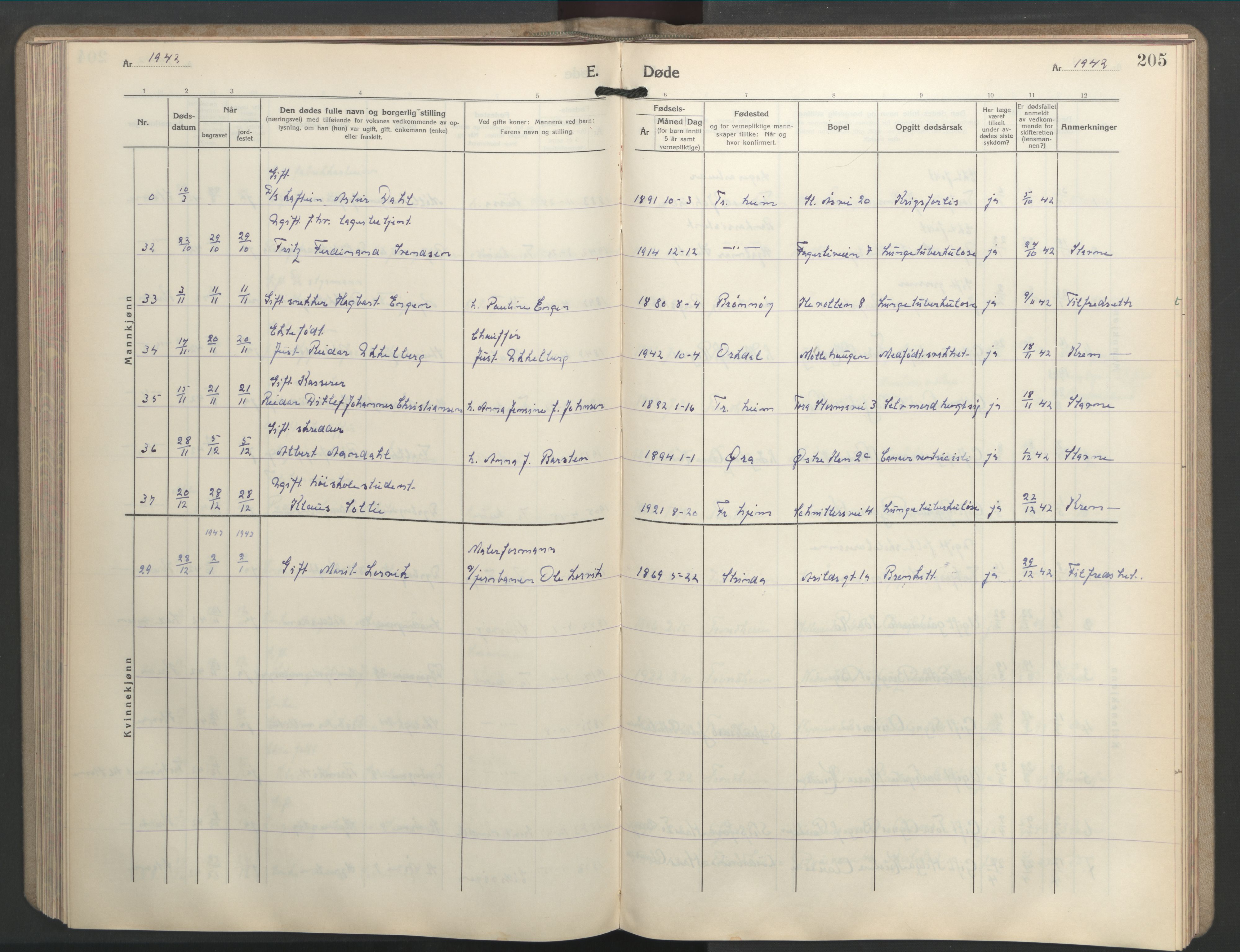 Ministerialprotokoller, klokkerbøker og fødselsregistre - Sør-Trøndelag, AV/SAT-A-1456/603/L0177: Klokkerbok nr. 603C05, 1941-1952, s. 205