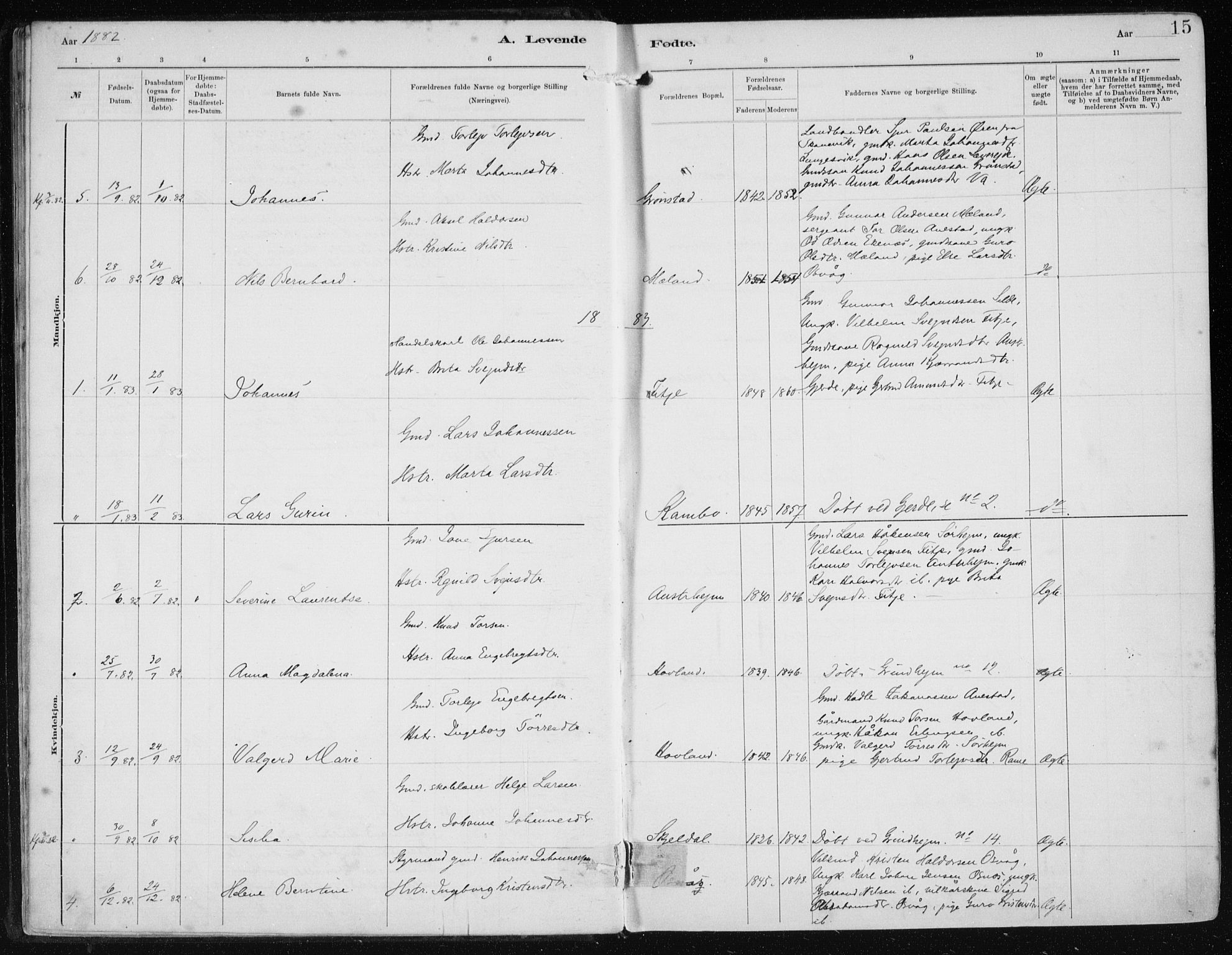 Etne sokneprestembete, AV/SAB-A-75001/H/Haa: Ministerialbok nr. B  1, 1879-1919, s. 15