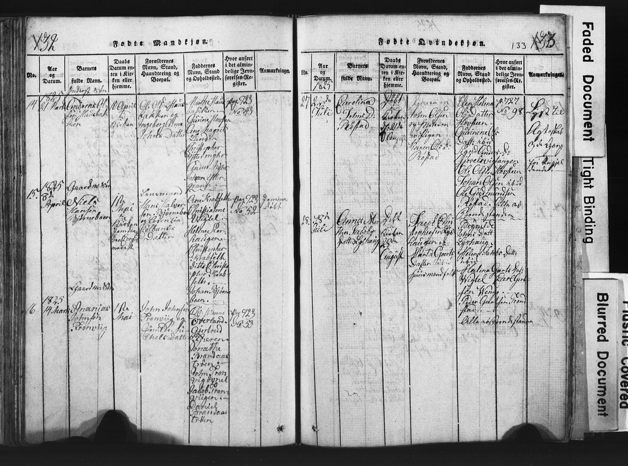 Ministerialprotokoller, klokkerbøker og fødselsregistre - Nord-Trøndelag, AV/SAT-A-1458/701/L0017: Klokkerbok nr. 701C01, 1817-1825, s. 132-133