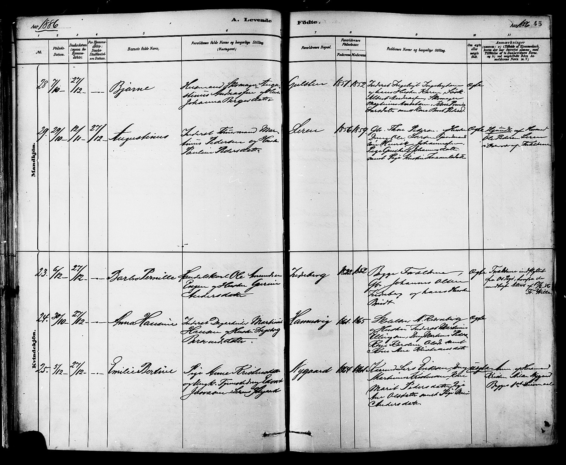 Ministerialprotokoller, klokkerbøker og fødselsregistre - Møre og Romsdal, AV/SAT-A-1454/577/L0896: Ministerialbok nr. 577A03, 1880-1898, s. 45