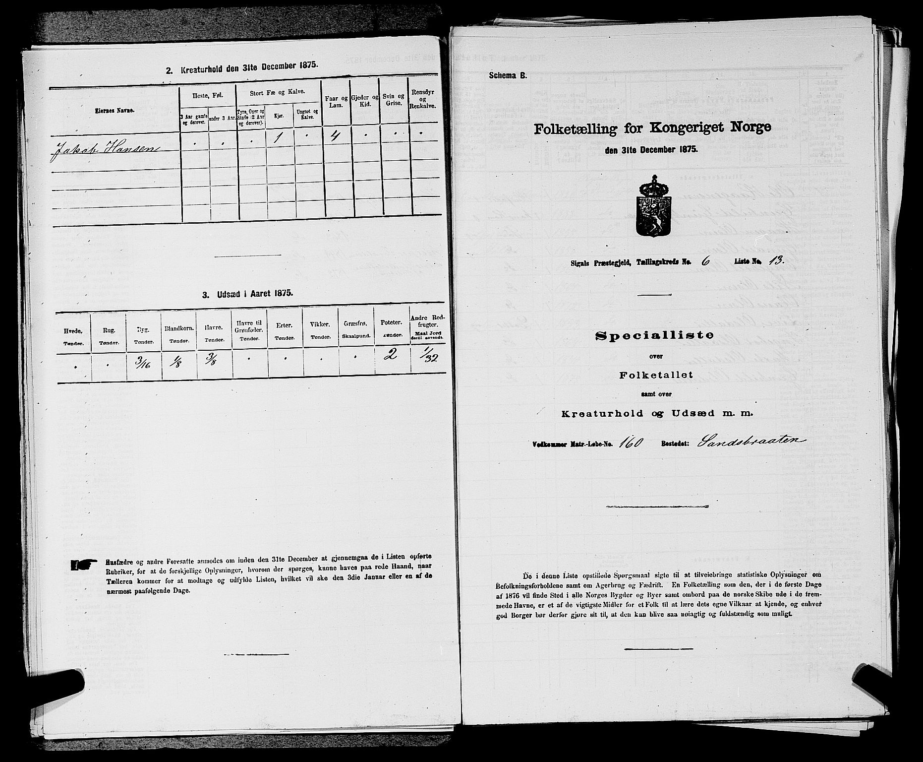 SAKO, Folketelling 1875 for 0621P Sigdal prestegjeld, 1875, s. 875