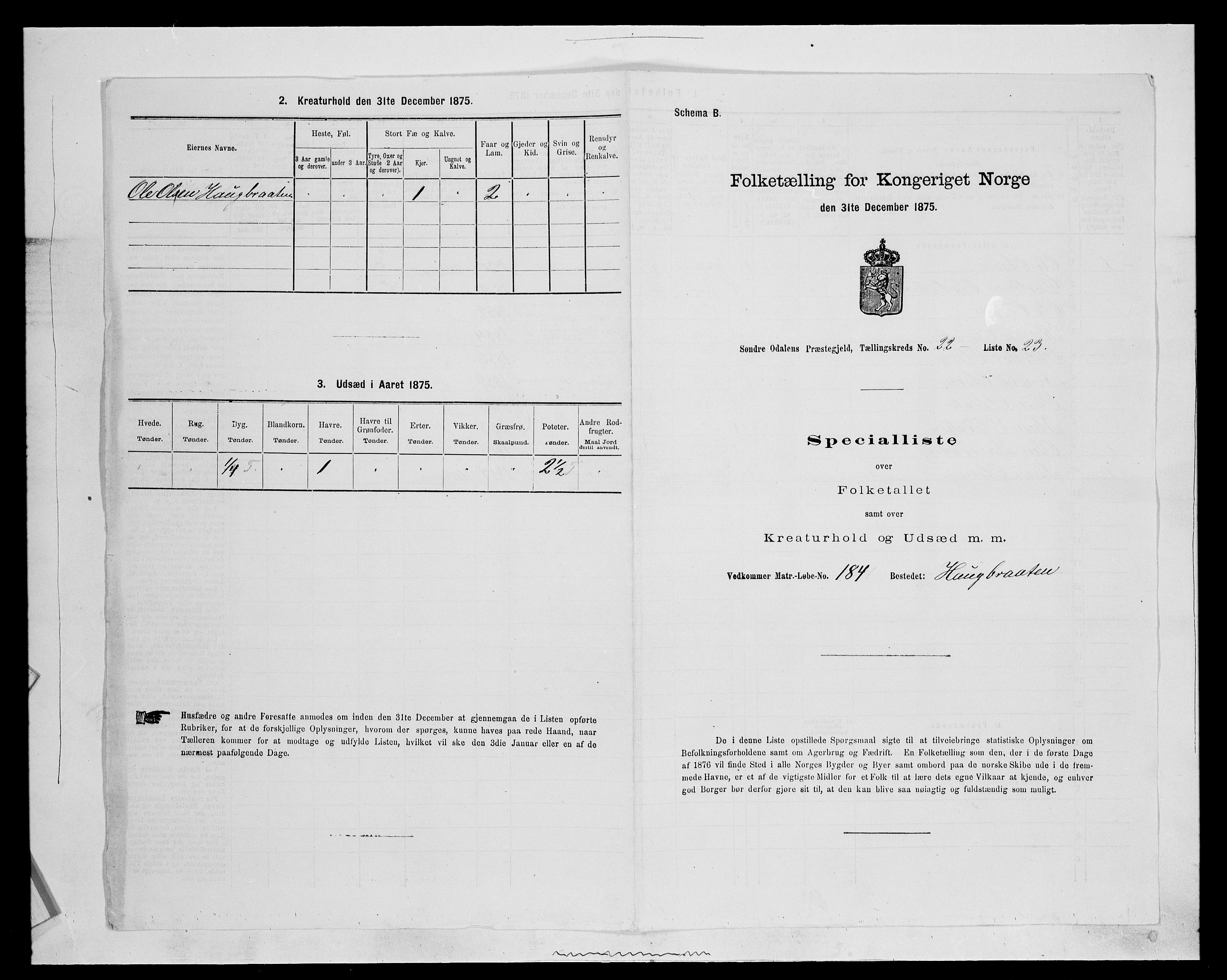 SAH, Folketelling 1875 for 0419P Sør-Odal prestegjeld, 1875, s. 1920