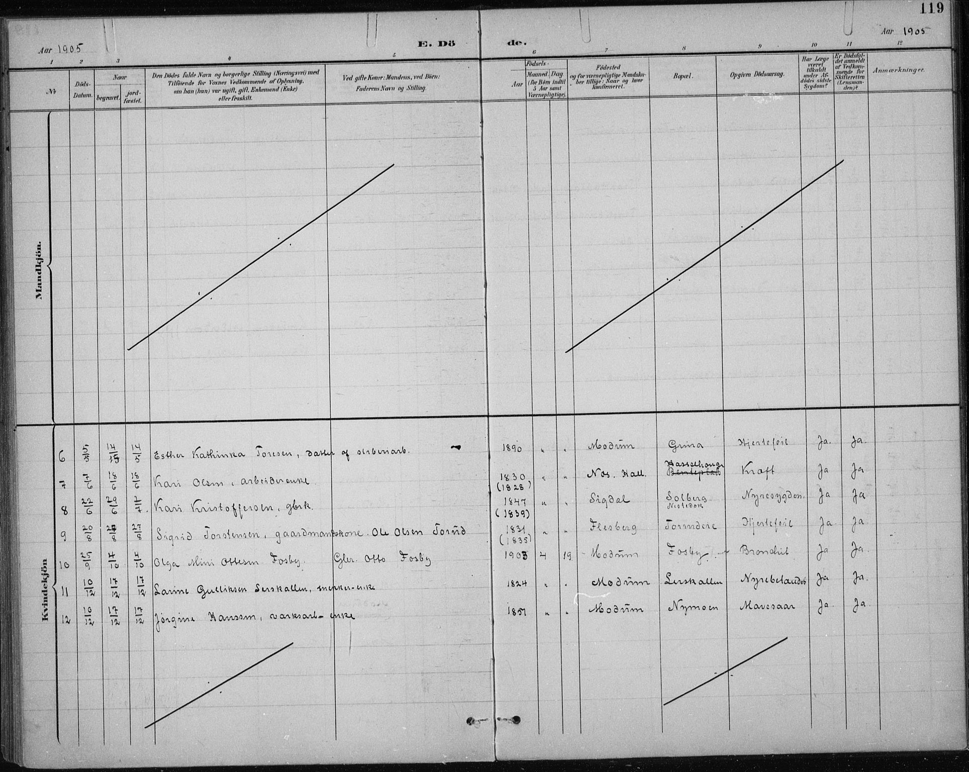 Modum kirkebøker, AV/SAKO-A-234/F/Fa/L0017: Ministerialbok nr. 17, 1900-1915, s. 119