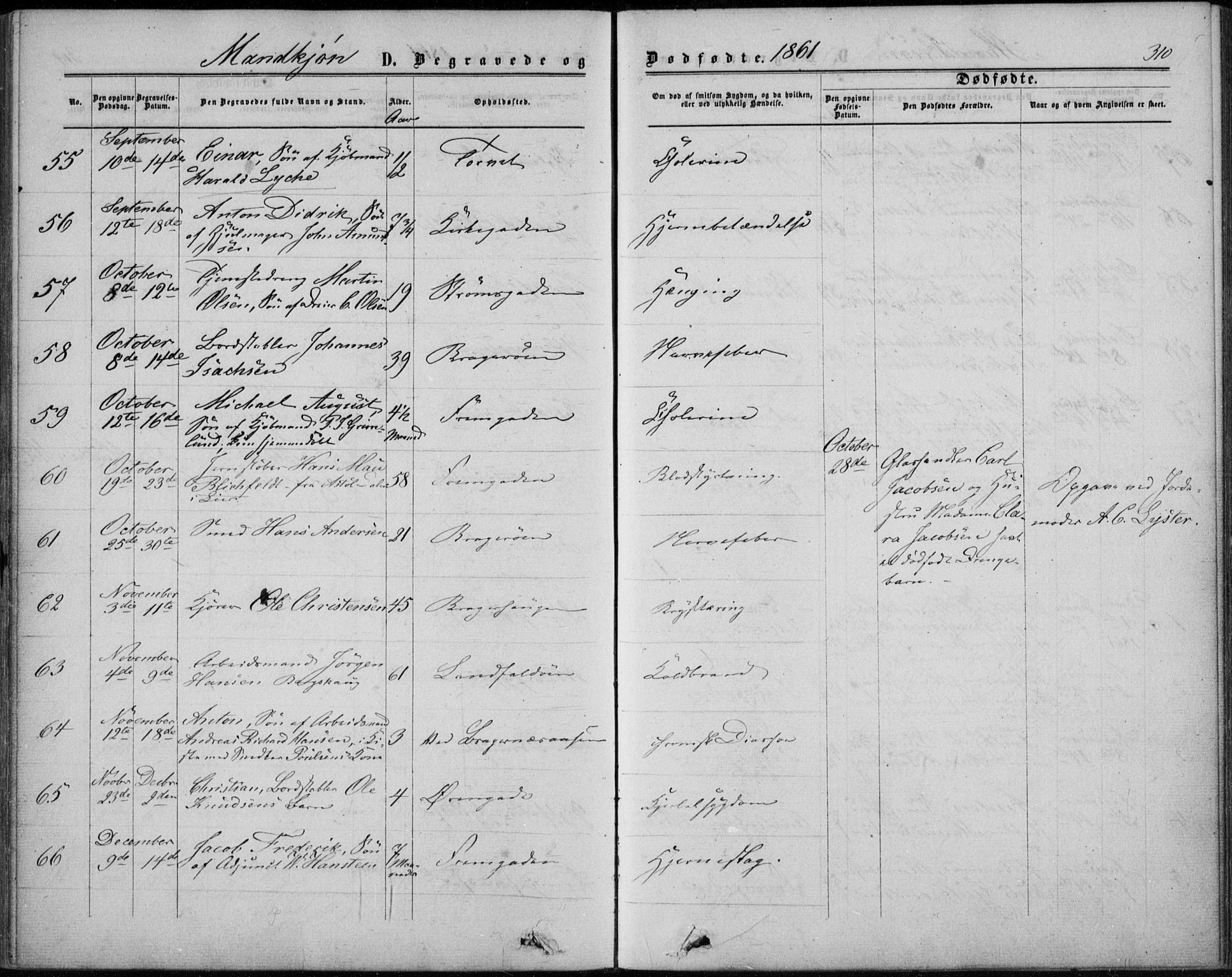 Bragernes kirkebøker, AV/SAKO-A-6/F/Fb/L0003: Ministerialbok nr. II 3, 1860-1868, s. 310