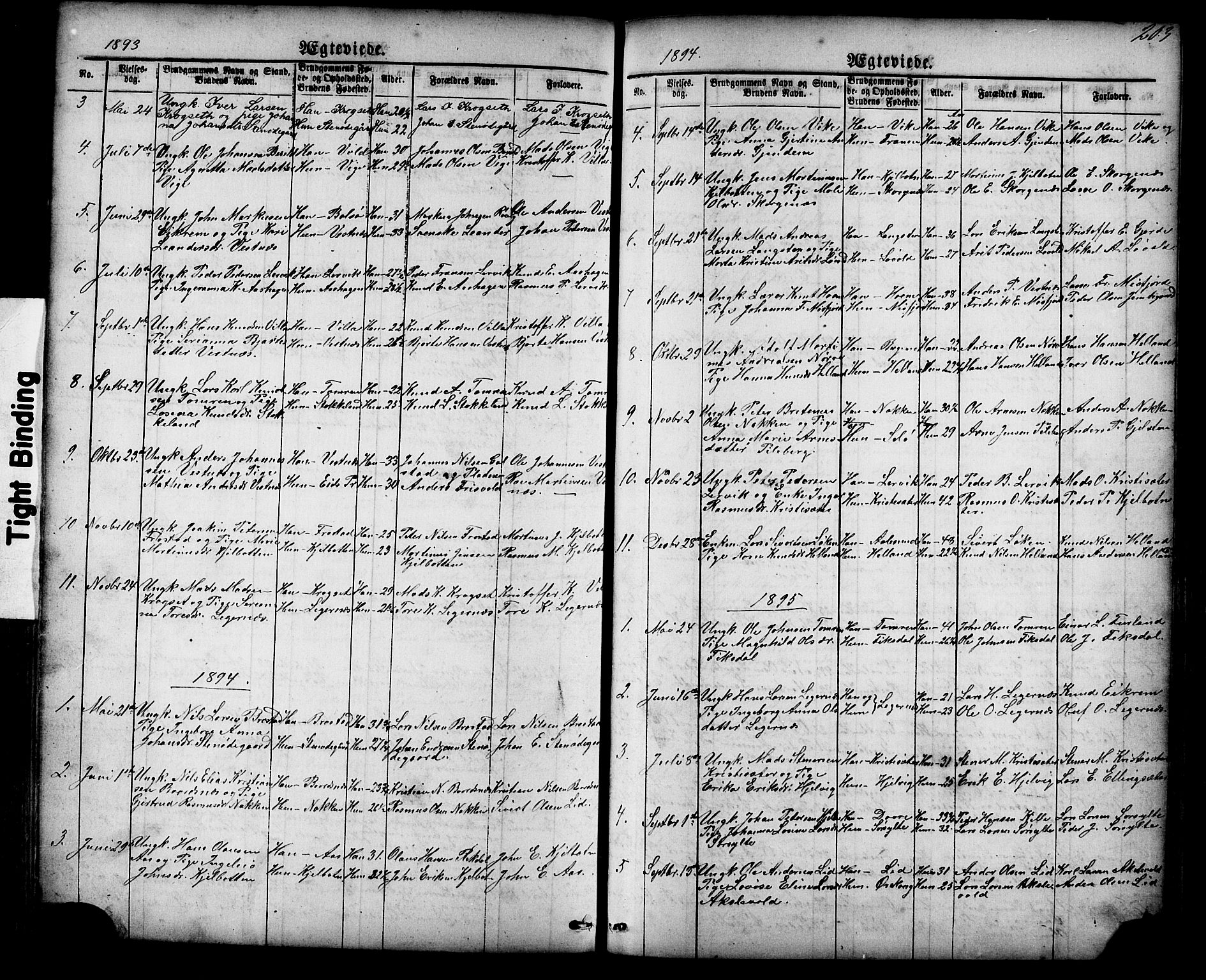 Ministerialprotokoller, klokkerbøker og fødselsregistre - Møre og Romsdal, SAT/A-1454/539/L0536: Klokkerbok nr. 539C02, 1867-1913, s. 203