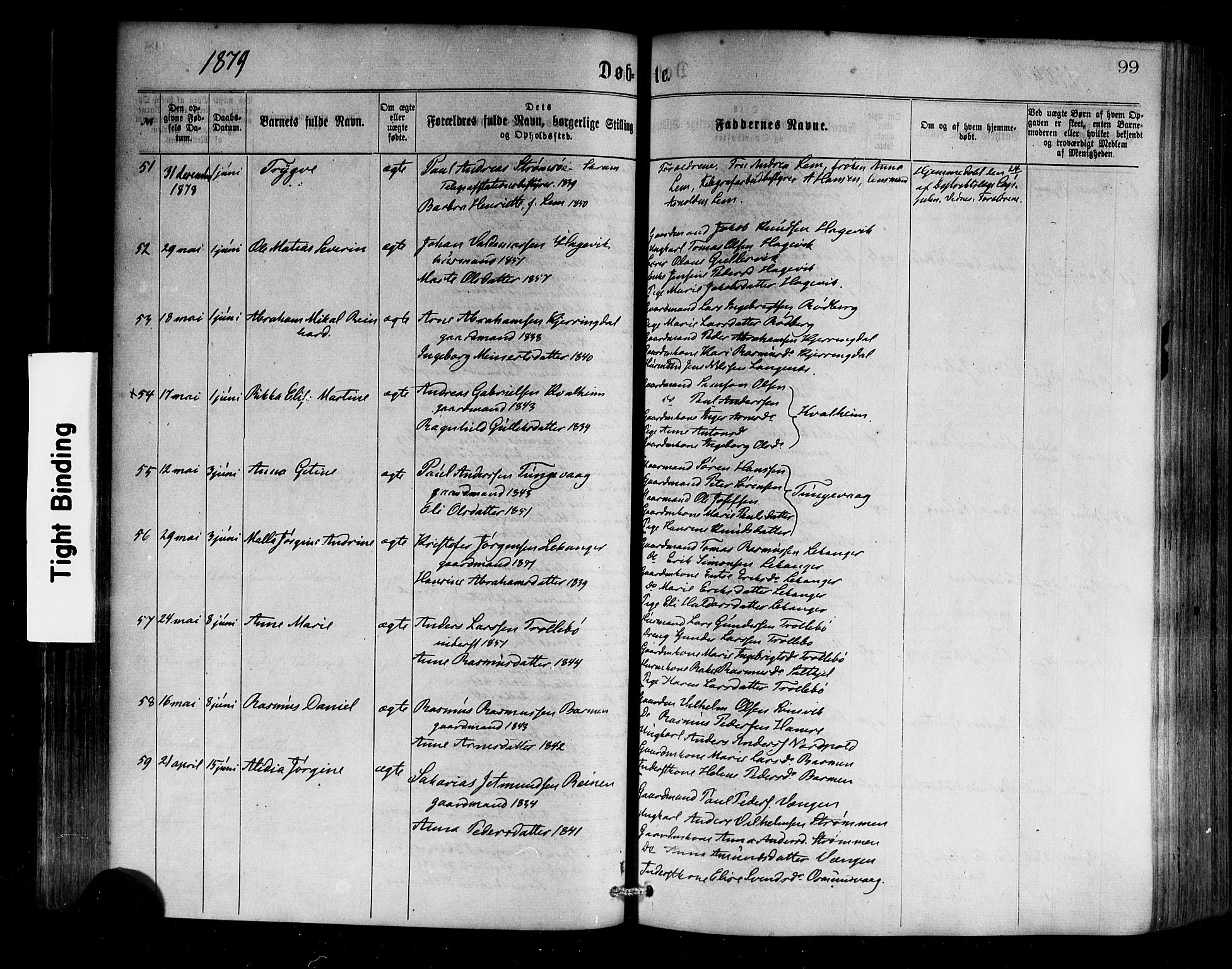 Selje sokneprestembete, AV/SAB-A-99938/H/Ha/Haa/Haaa: Ministerialbok nr. A 12, 1870-1880, s. 99