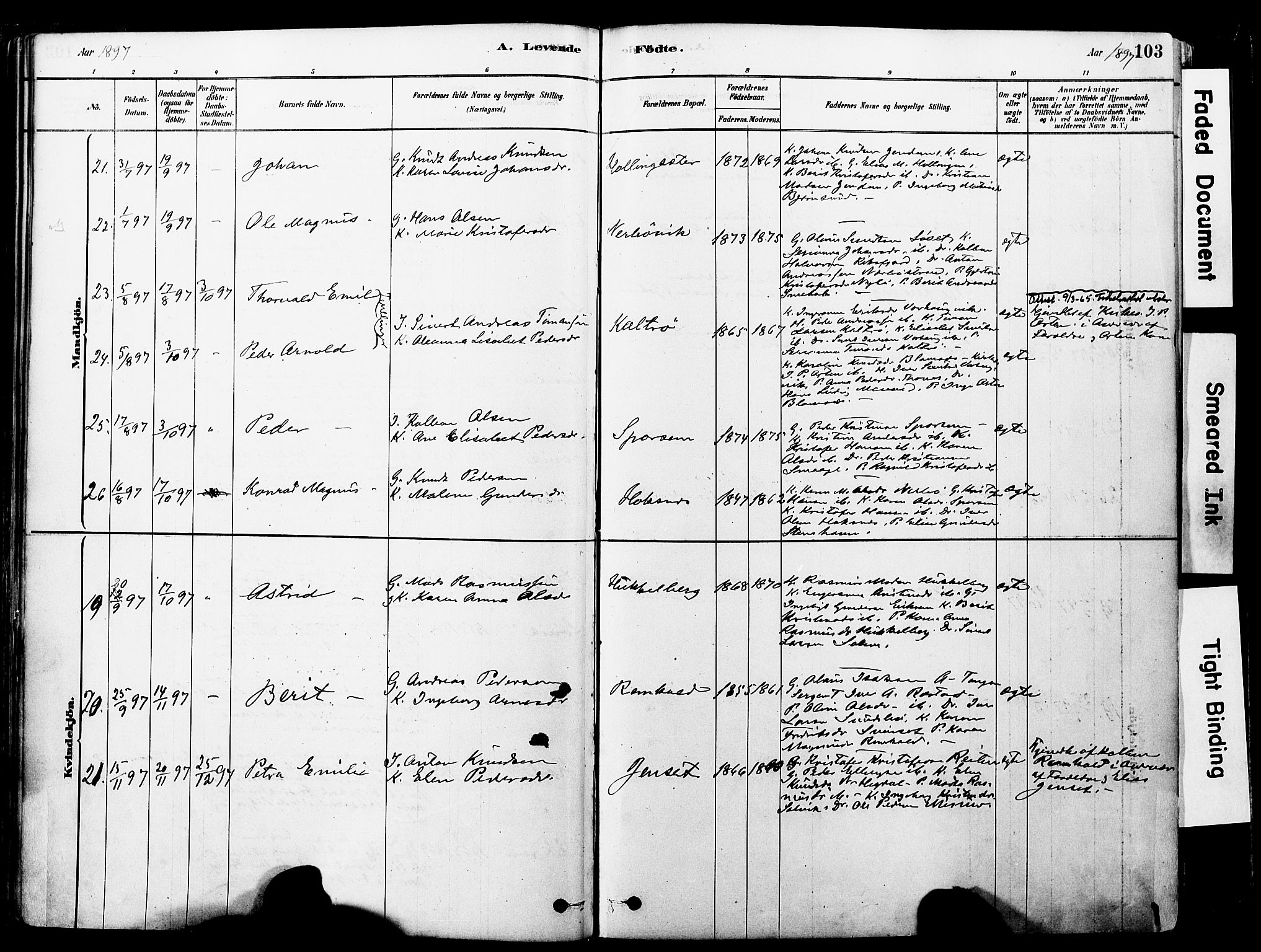 Ministerialprotokoller, klokkerbøker og fødselsregistre - Møre og Romsdal, SAT/A-1454/560/L0721: Ministerialbok nr. 560A05, 1878-1917, s. 103