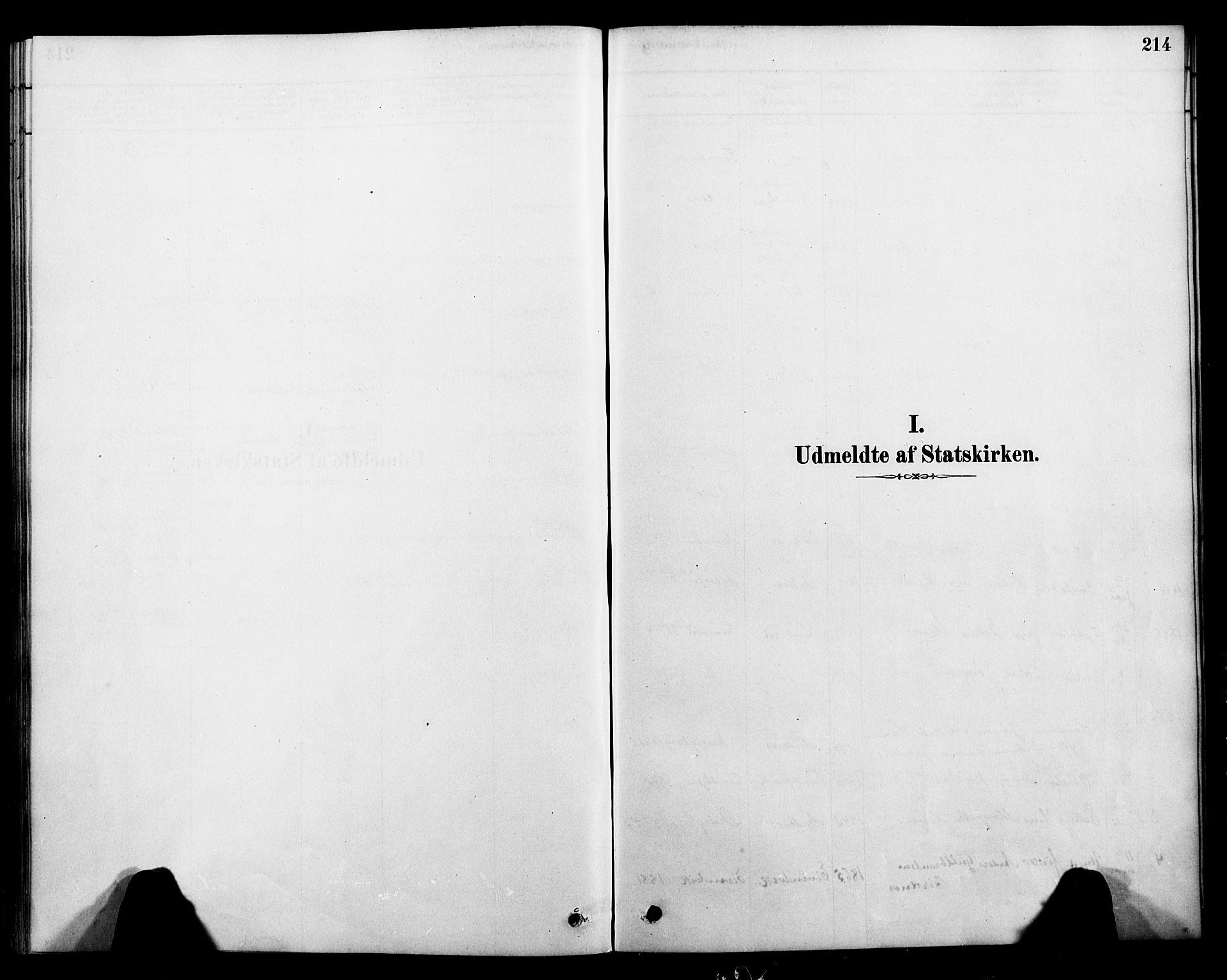 Ministerialprotokoller, klokkerbøker og fødselsregistre - Nordland, SAT/A-1459/899/L1436: Ministerialbok nr. 899A04, 1881-1896, s. 214