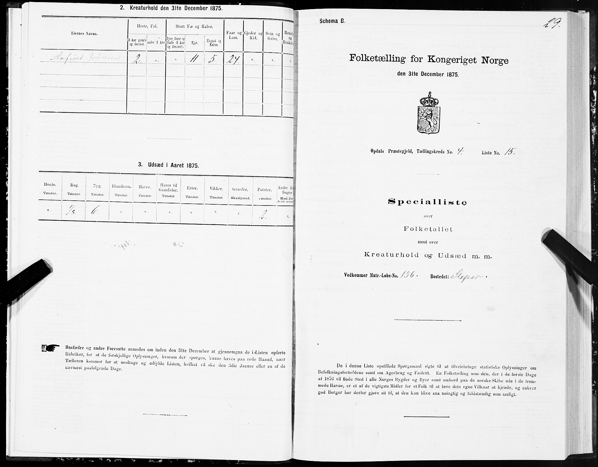 SAT, Folketelling 1875 for 1634P Oppdal prestegjeld, 1875, s. 3029