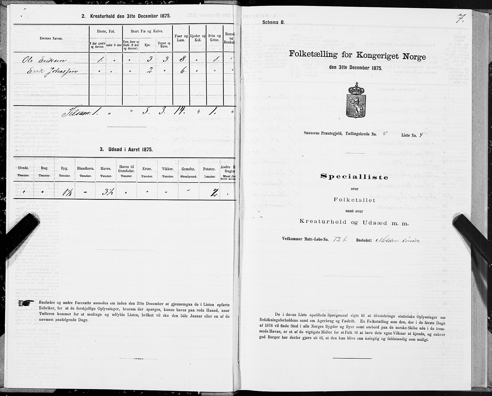 SAT, Folketelling 1875 for 1736P Snåsa prestegjeld, 1875, s. 2007