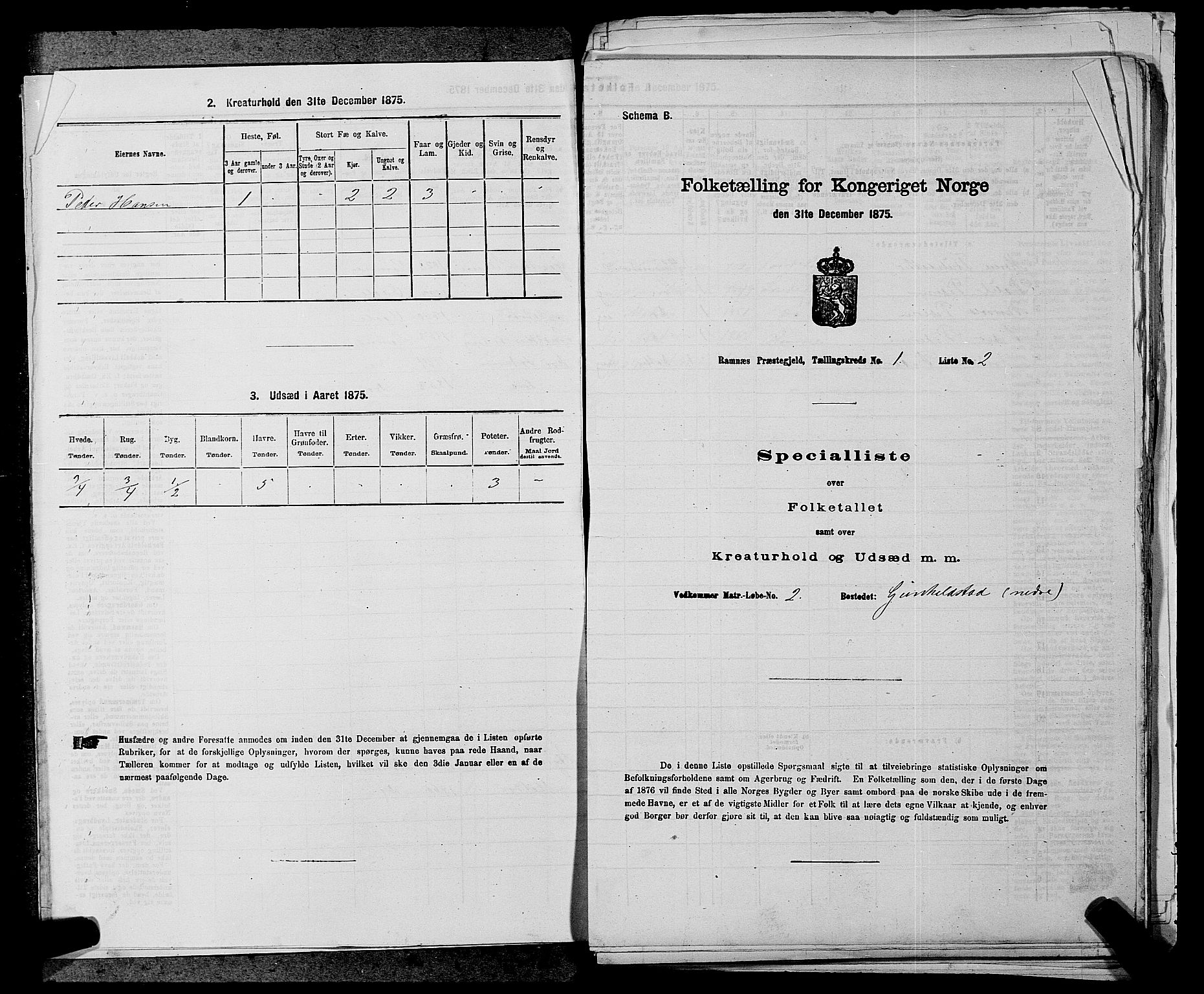 SAKO, Folketelling 1875 for 0718P Ramnes prestegjeld, 1875, s. 44