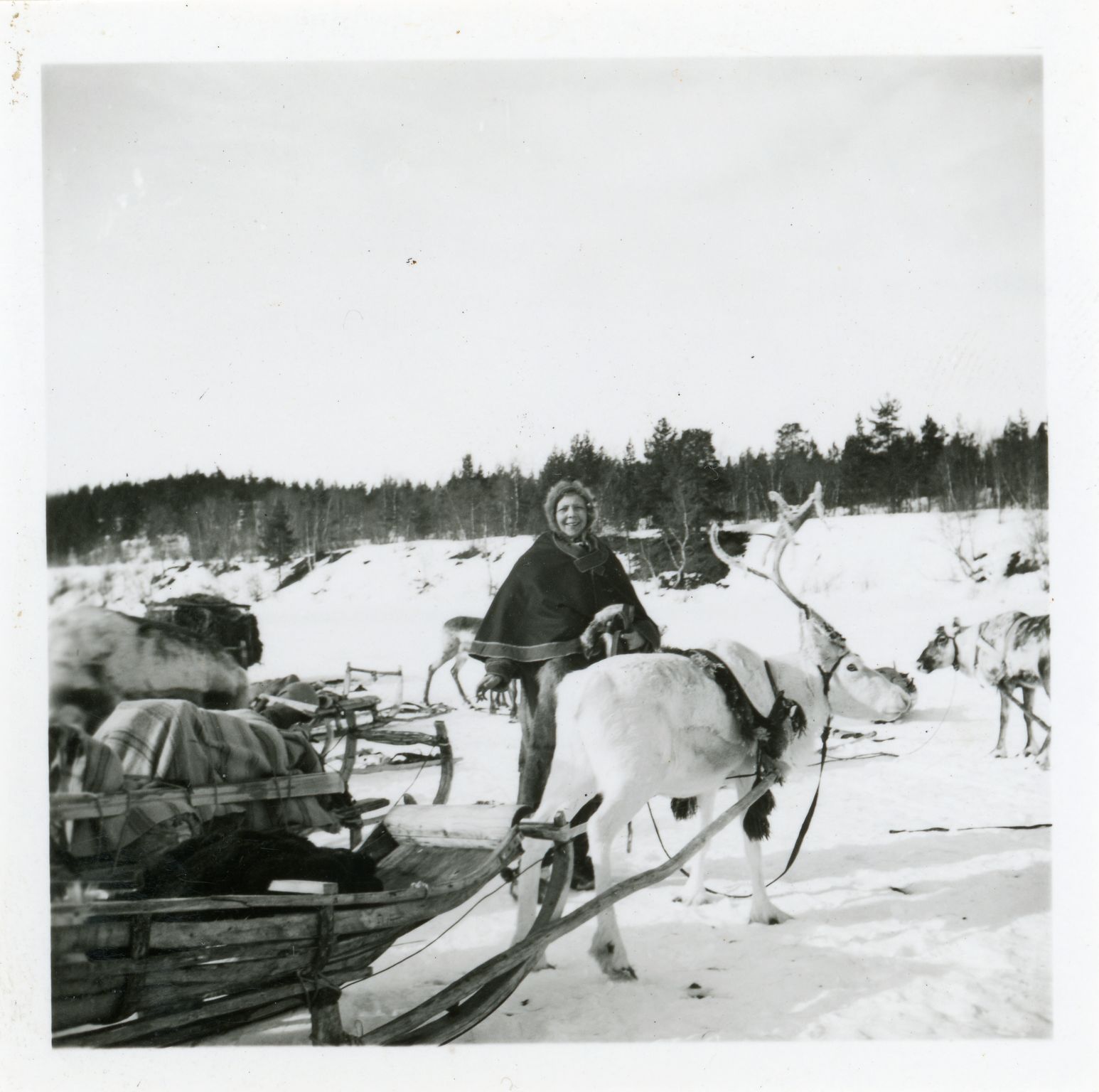 Politimester Thorstein Moe og Borgny Irene Moe, VAMU/A-0073/U/Ua, 1890-1970