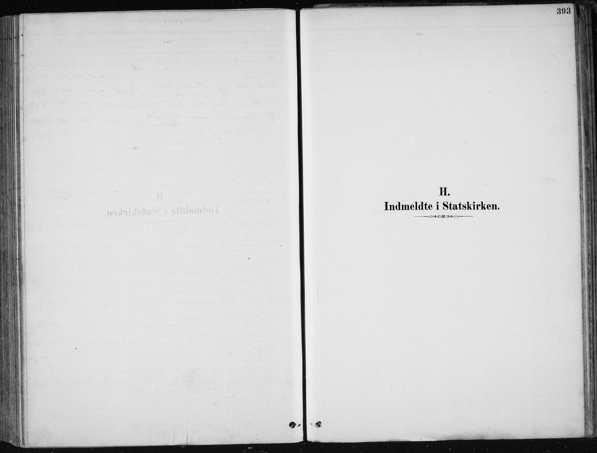 Fjell sokneprestembete, AV/SAB-A-75301/H/Haa: Ministerialbok nr. A  8, 1878-1898, s. 393