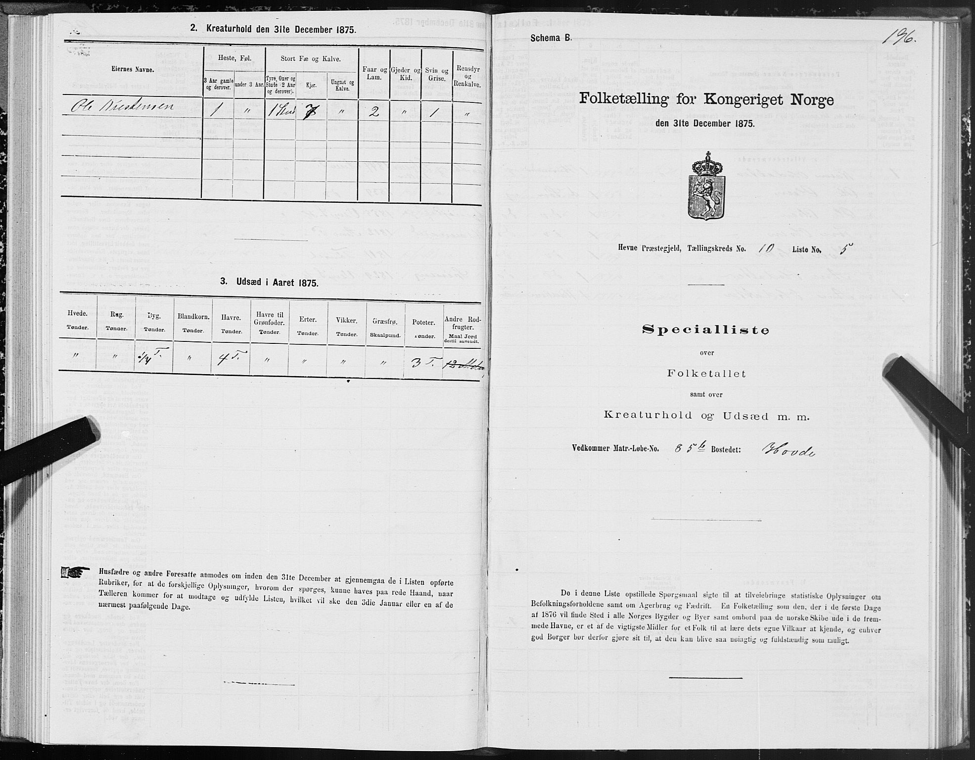 SAT, Folketelling 1875 for 1612P Hemne prestegjeld, 1875, s. 5196