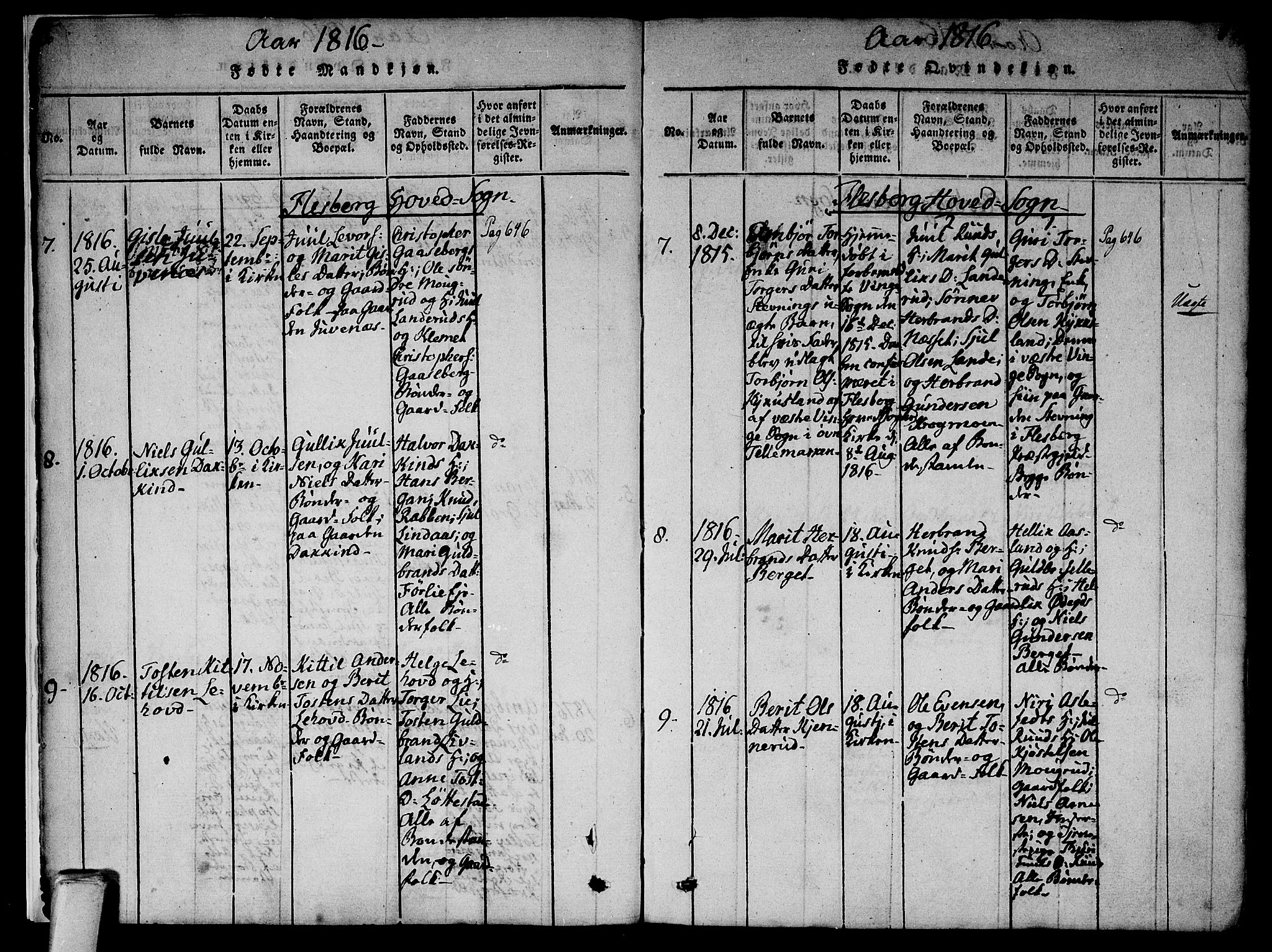 Flesberg kirkebøker, SAKO/A-18/F/Fa/L0005: Ministerialbok nr. I 5, 1816-1834, s. 5-6