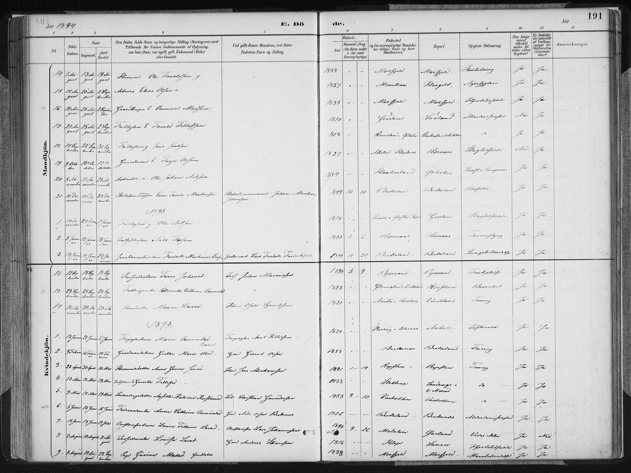 Birkenes sokneprestkontor, SAK/1111-0004/F/Fa/L0005: Ministerialbok nr. A 5, 1887-1907, s. 191