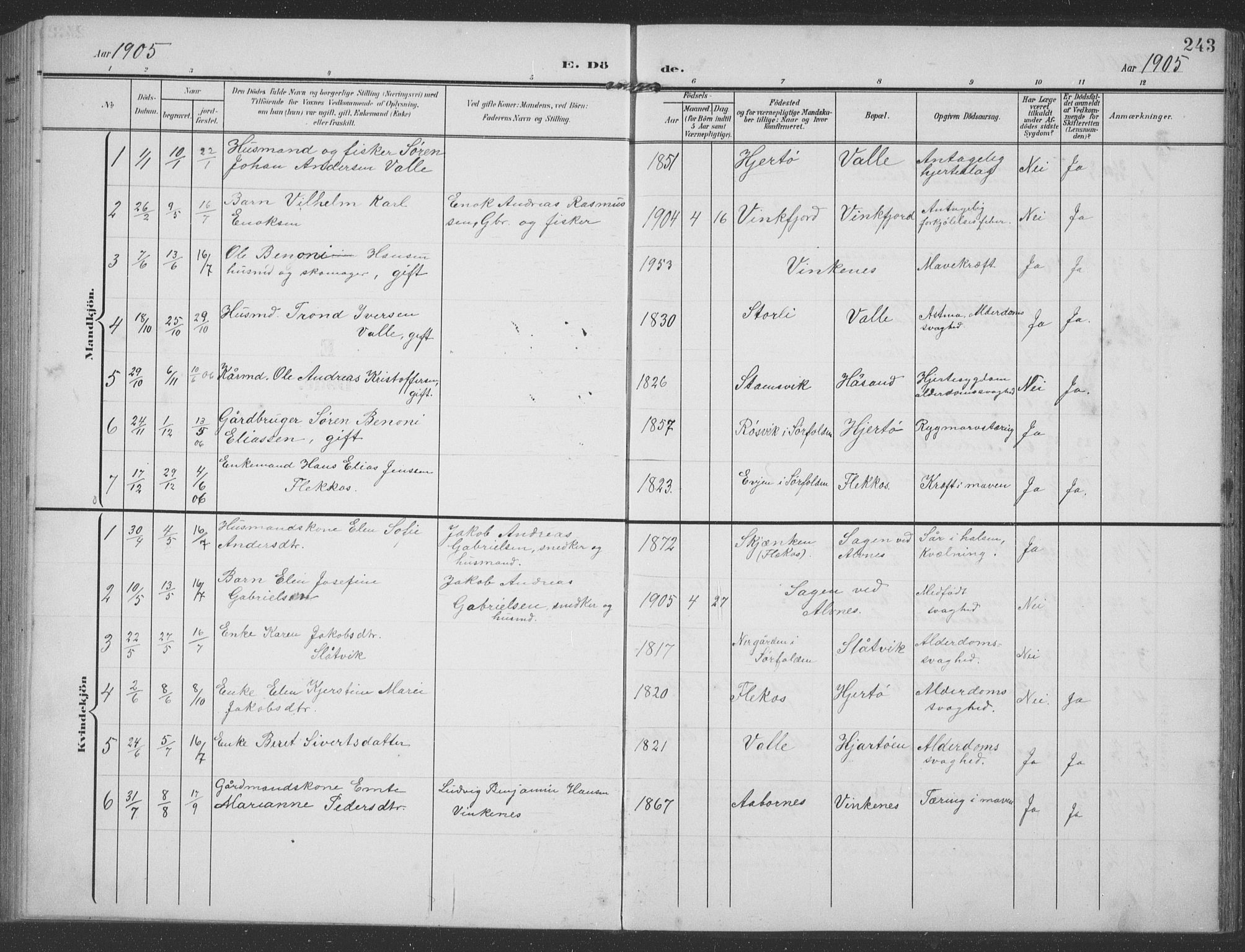 Ministerialprotokoller, klokkerbøker og fødselsregistre - Nordland, AV/SAT-A-1459/858/L0835: Klokkerbok nr. 858C02, 1904-1940, s. 243