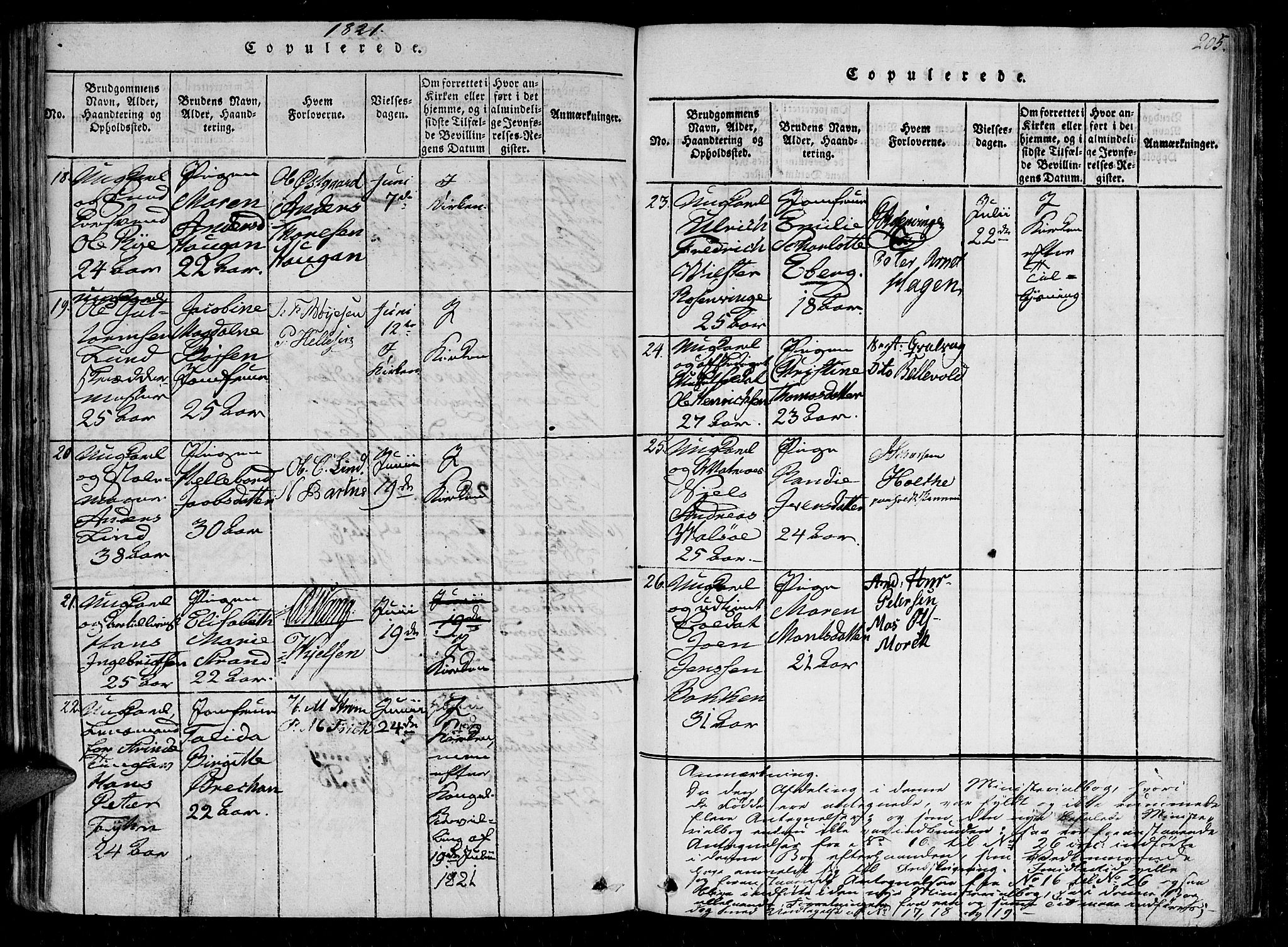 Ministerialprotokoller, klokkerbøker og fødselsregistre - Sør-Trøndelag, AV/SAT-A-1456/602/L0107: Ministerialbok nr. 602A05, 1815-1821, s. 205