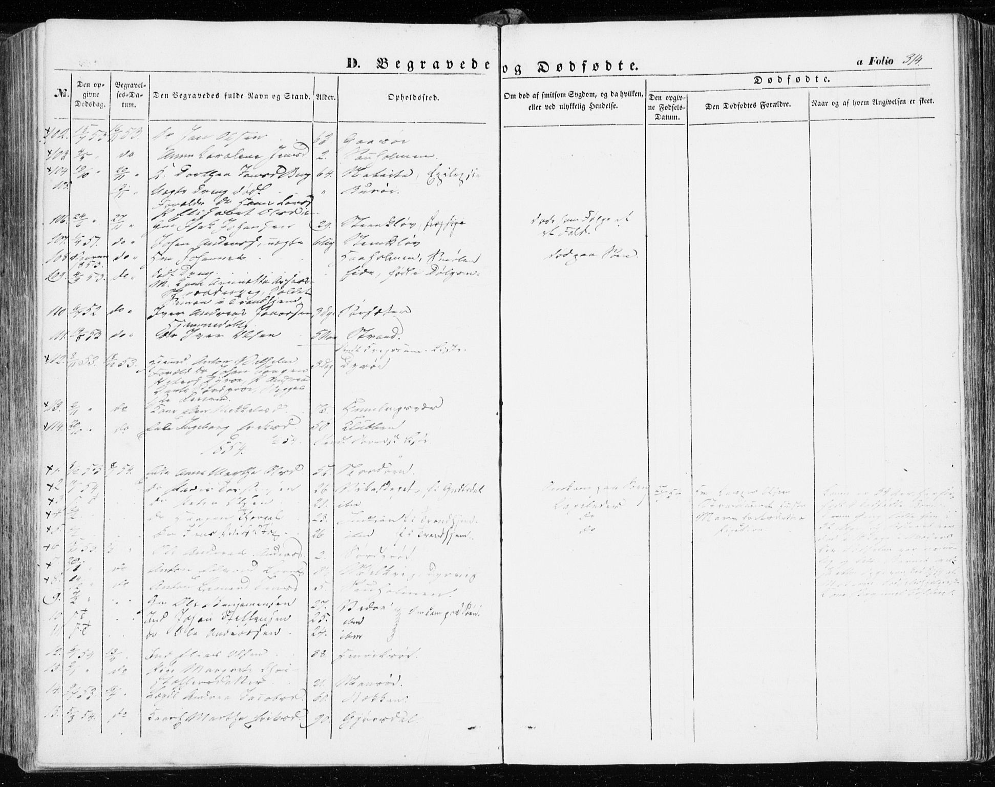 Ministerialprotokoller, klokkerbøker og fødselsregistre - Sør-Trøndelag, AV/SAT-A-1456/634/L0530: Ministerialbok nr. 634A06, 1852-1860, s. 314