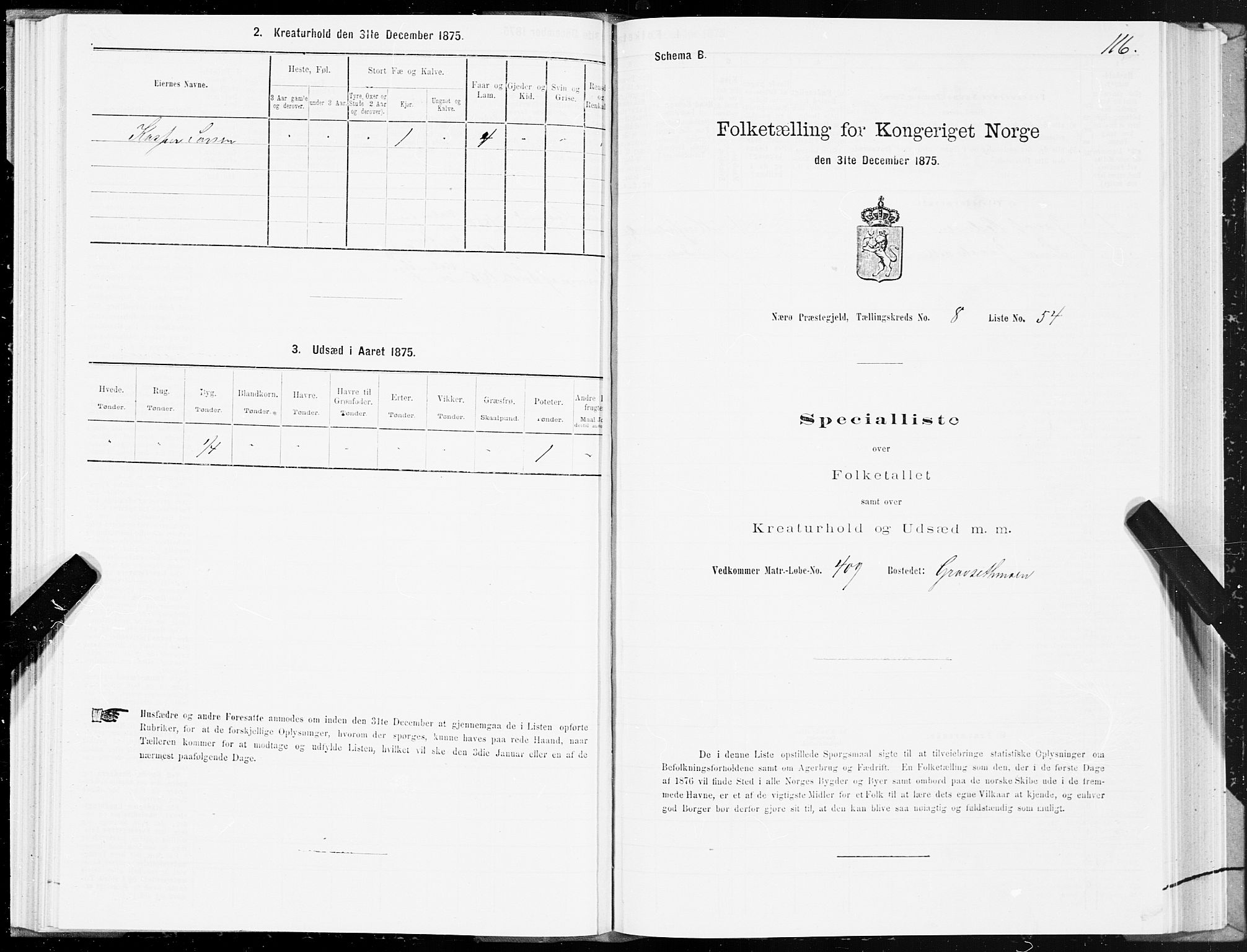 SAT, Folketelling 1875 for 1751P Nærøy prestegjeld, 1875, s. 4116