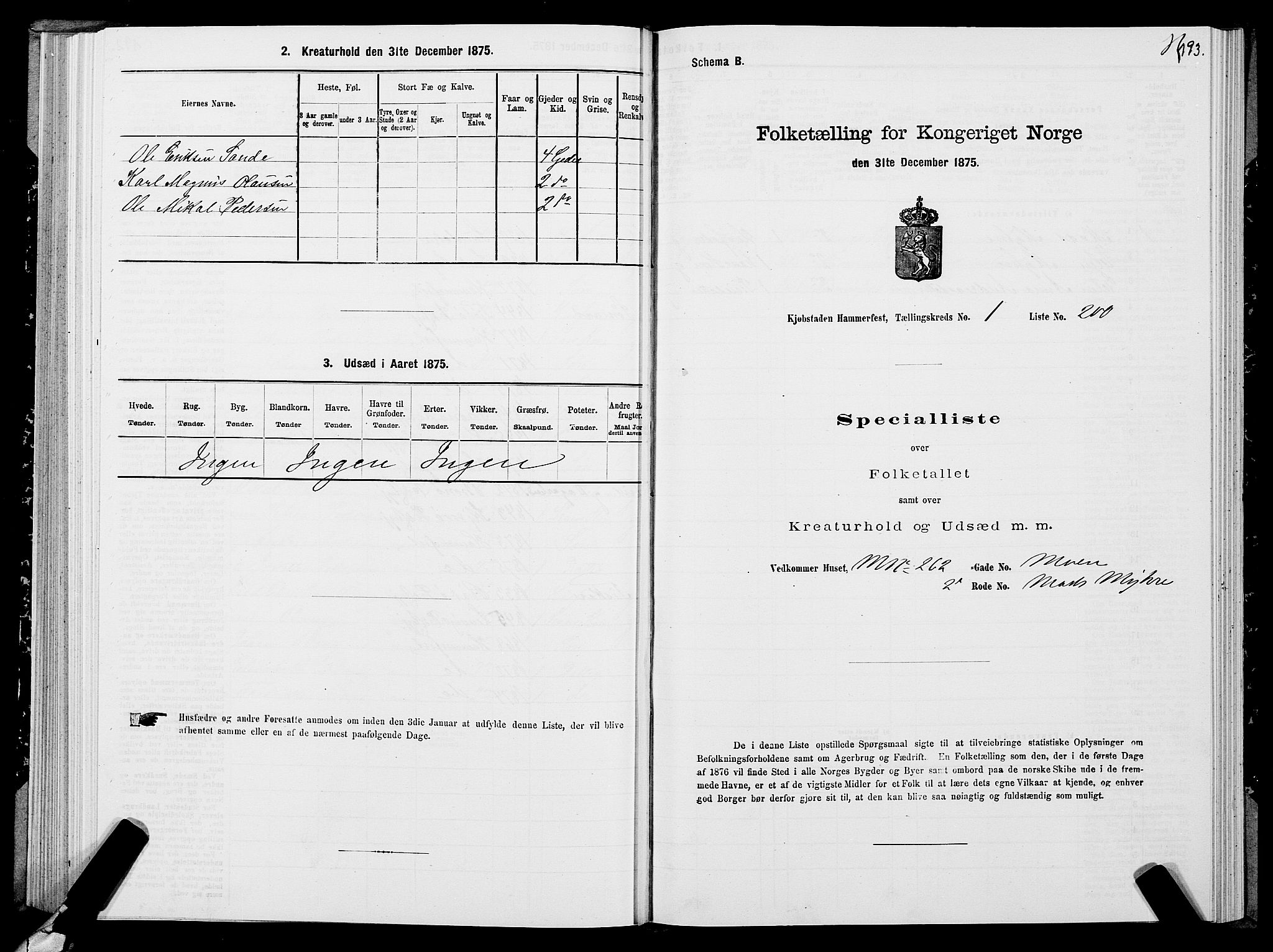 SATØ, Folketelling 1875 for 2001B Hammerfest prestegjeld, Hammerfest kjøpstad, 1875, s. 2193