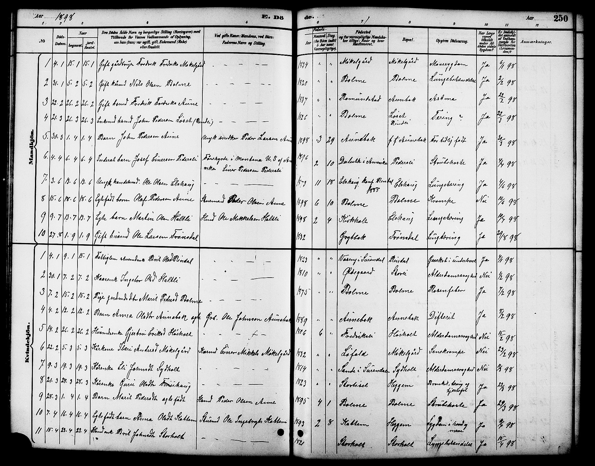 Ministerialprotokoller, klokkerbøker og fødselsregistre - Møre og Romsdal, AV/SAT-A-1454/598/L1078: Klokkerbok nr. 598C03, 1892-1909, s. 250