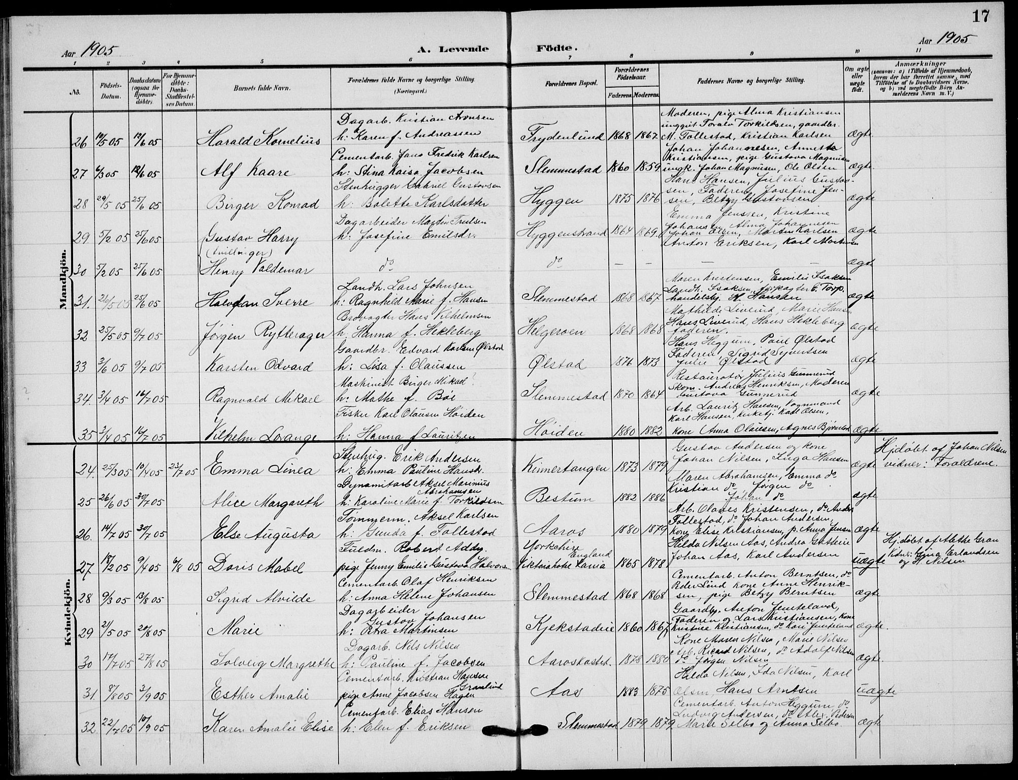 Røyken kirkebøker, AV/SAKO-A-241/G/Ga/L0005: Klokkerbok nr. 5, 1903-1918, s. 17