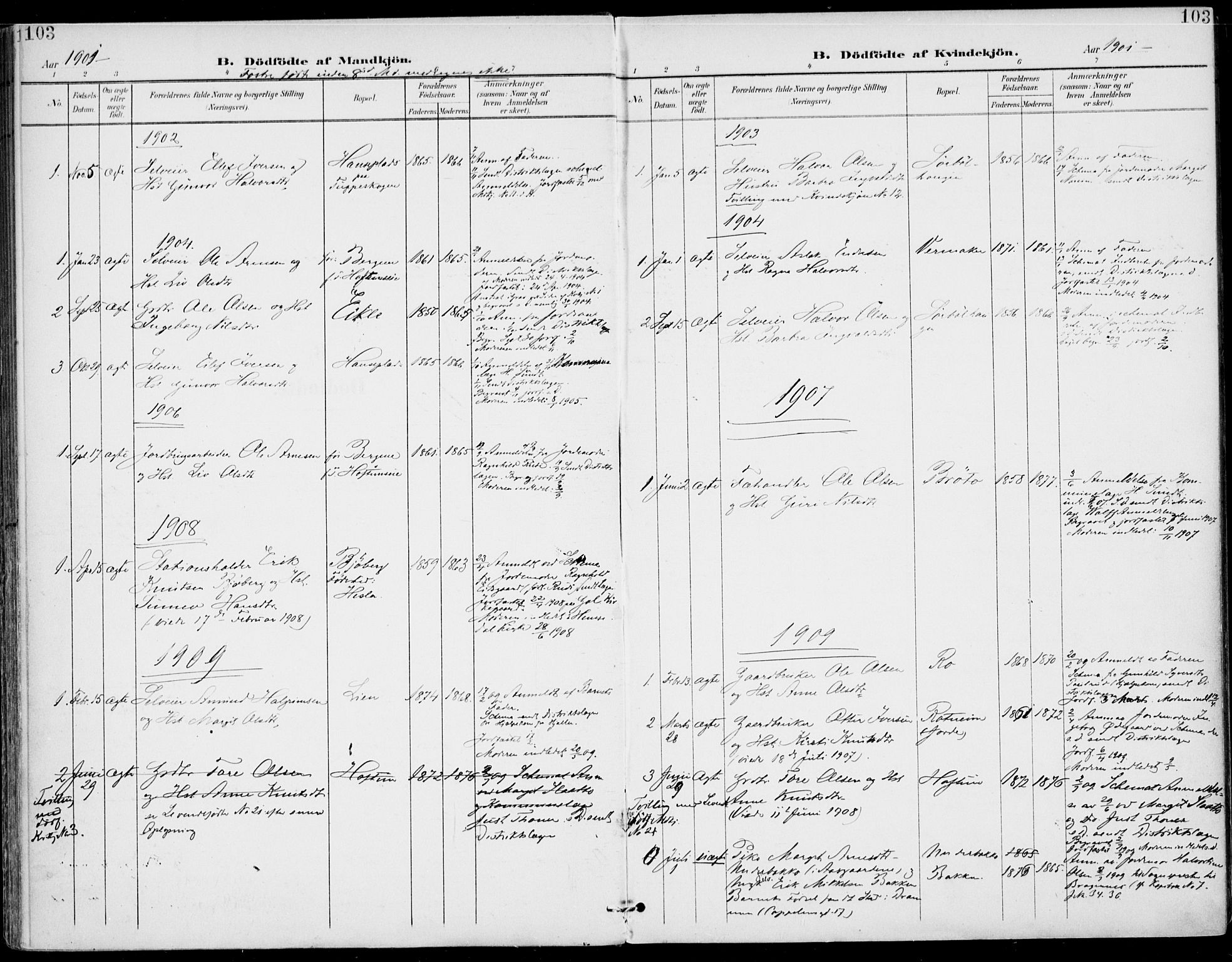 Gol kirkebøker, AV/SAKO-A-226/F/Fa/L0006: Ministerialbok nr. I 6, 1901-1918, s. 103