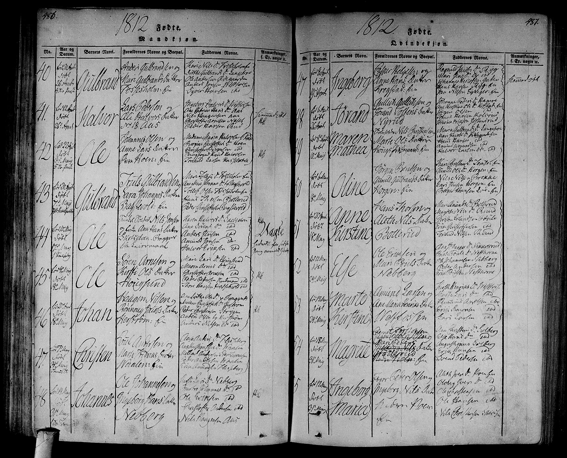 Eiker kirkebøker, AV/SAKO-A-4/F/Fa/L0010: Ministerialbok nr. I 10, 1806-1815, s. 486-487