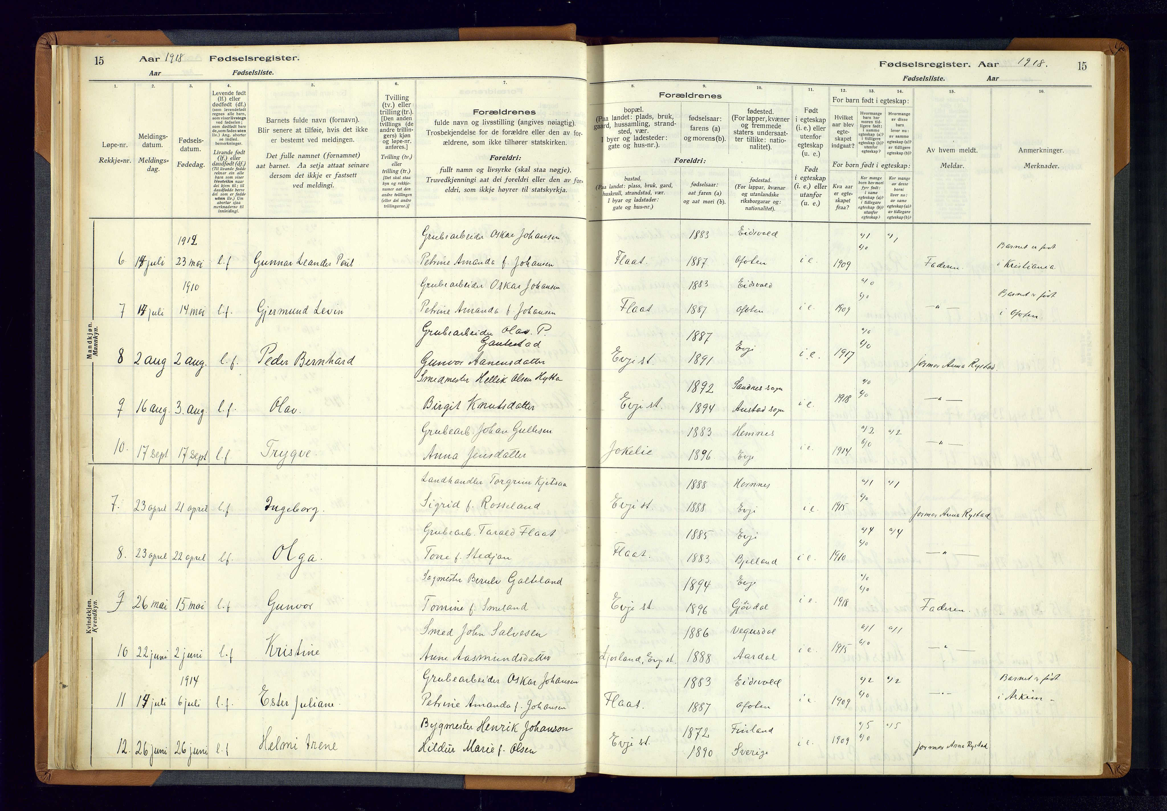 Evje sokneprestkontor, AV/SAK-1111-0008/J/Jc/L0004: Fødselsregister nr. 4, 1916-1968, s. 15