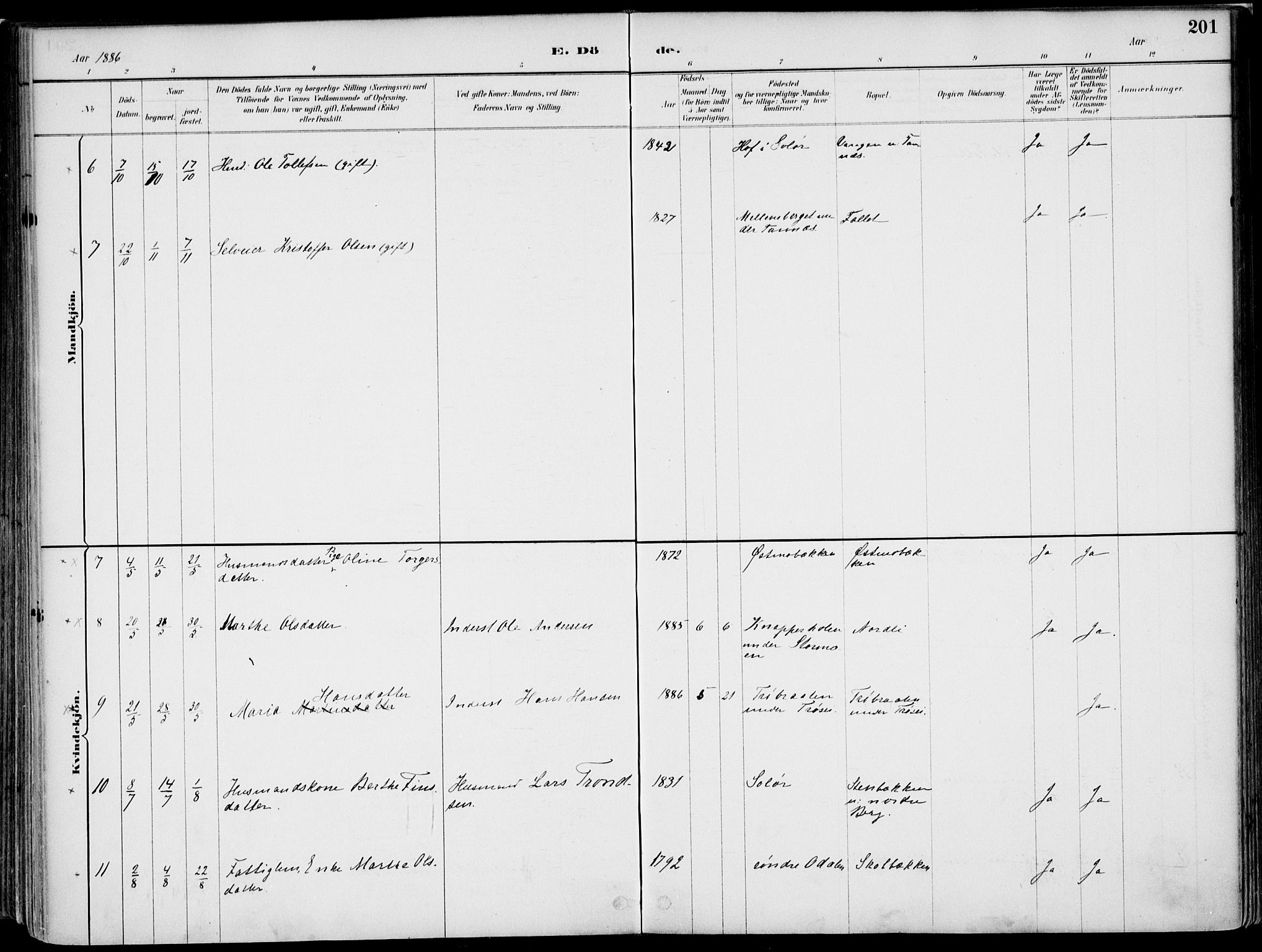 Nord-Odal prestekontor, AV/SAH-PREST-032/H/Ha/Haa/L0008: Ministerialbok nr. 8, 1886-1901, s. 201