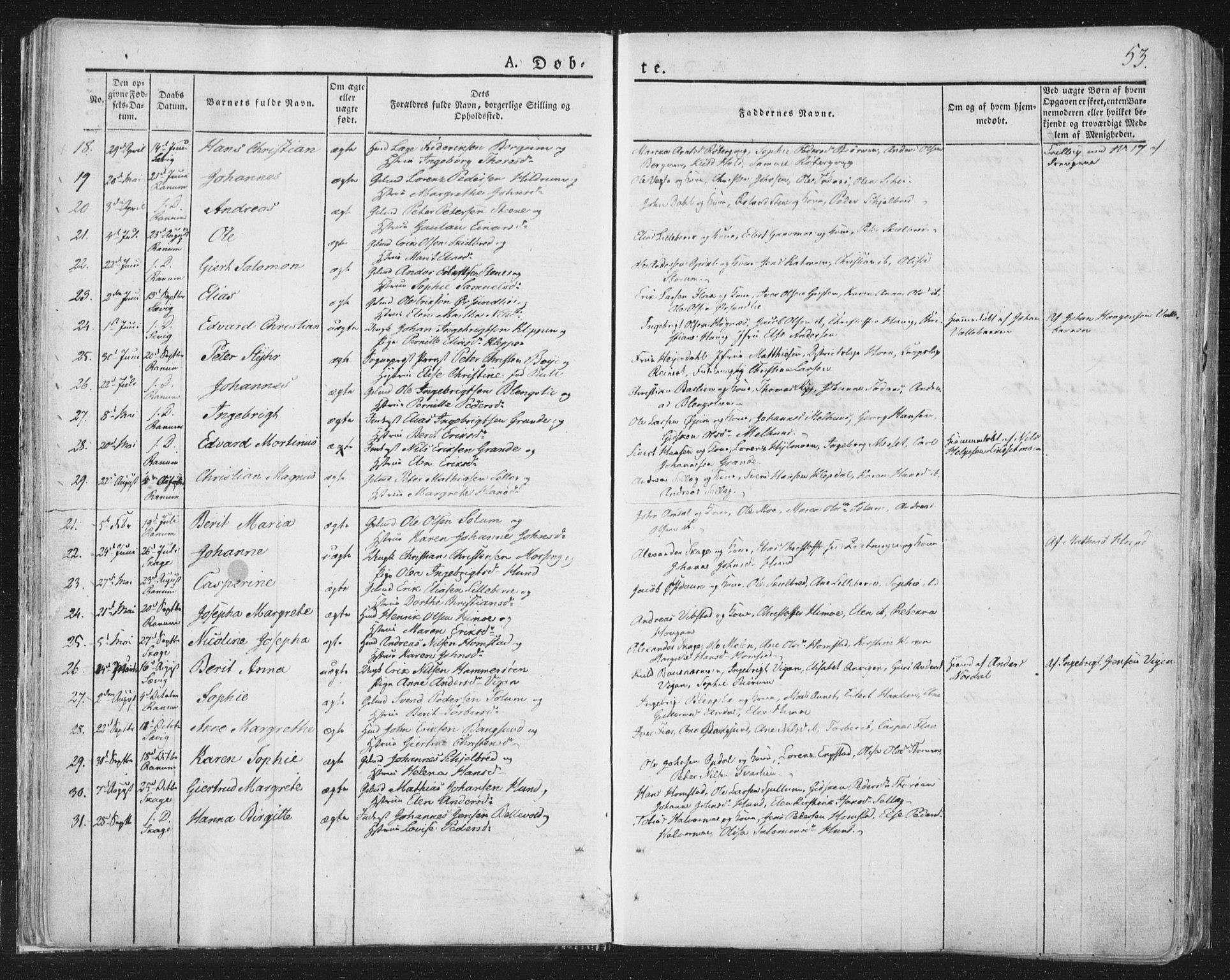 Ministerialprotokoller, klokkerbøker og fødselsregistre - Nord-Trøndelag, AV/SAT-A-1458/764/L0551: Ministerialbok nr. 764A07a, 1824-1864, s. 53