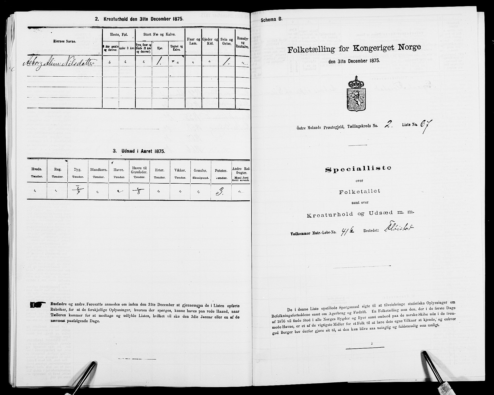 SAK, Folketelling 1875 for 0918P Austre Moland prestegjeld, 1875, s. 3010