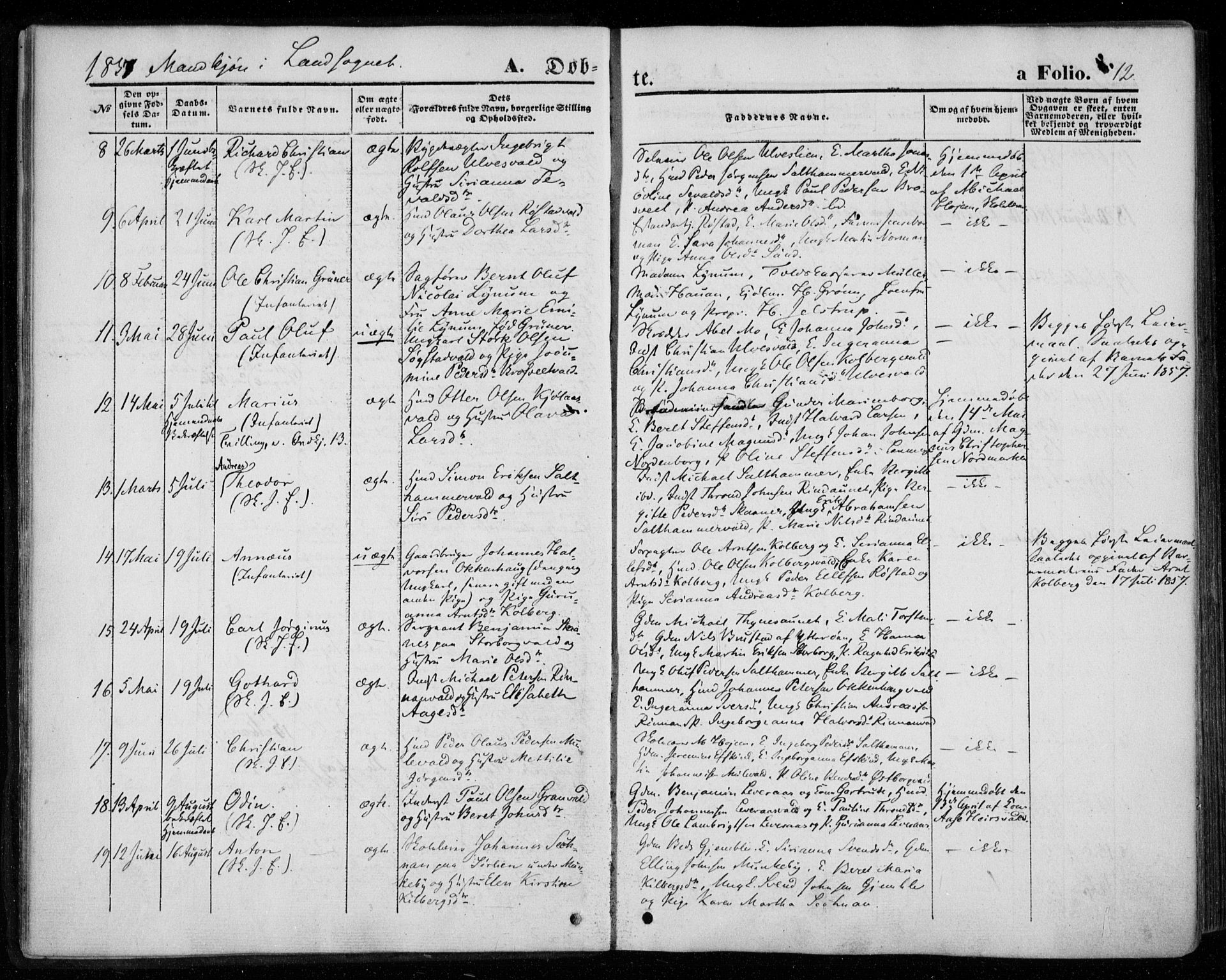 Ministerialprotokoller, klokkerbøker og fødselsregistre - Nord-Trøndelag, AV/SAT-A-1458/720/L0184: Ministerialbok nr. 720A02 /2, 1855-1863, s. 12