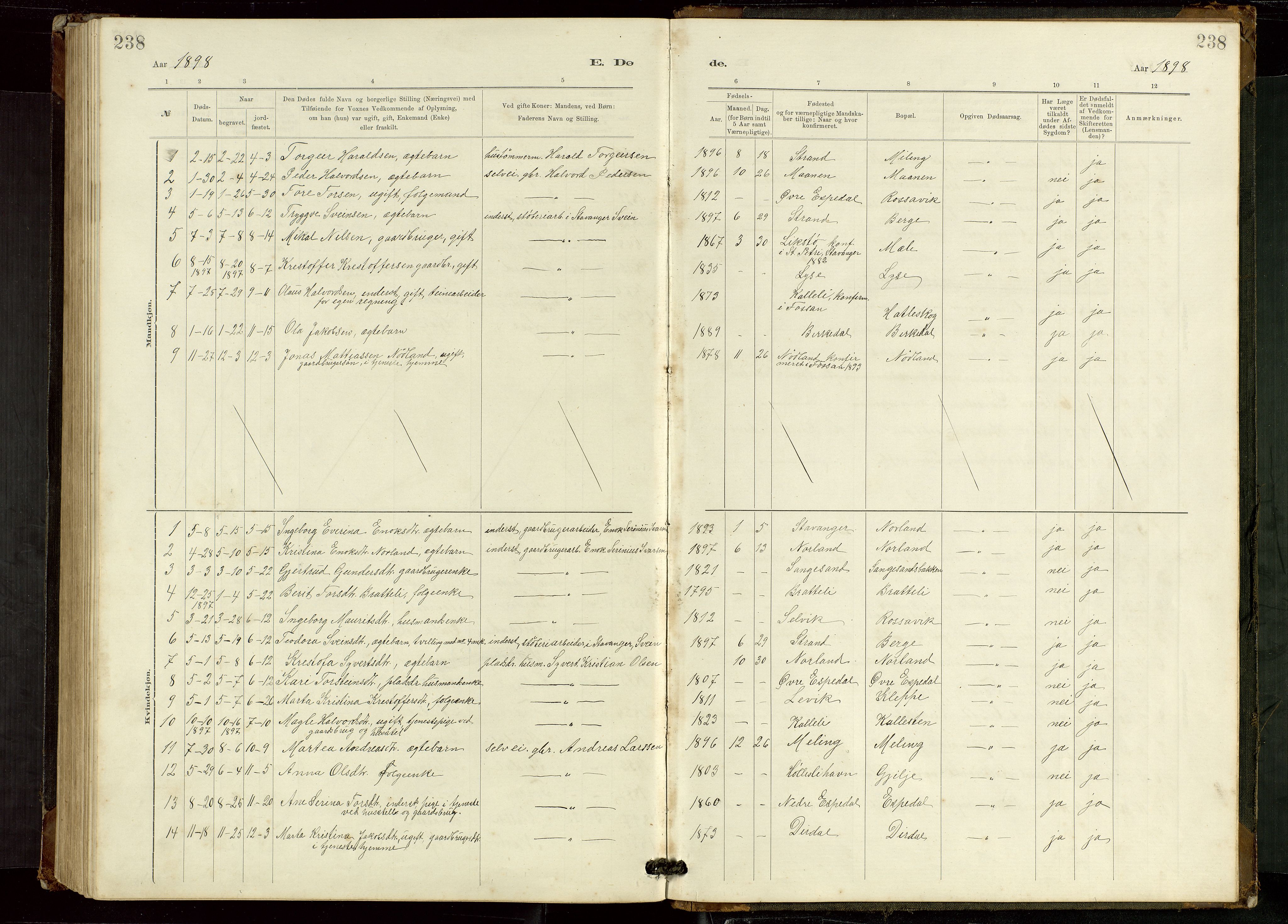 Høgsfjord sokneprestkontor, SAST/A-101624/H/Ha/Hab/L0009: Klokkerbok nr. B 9, 1883-1920, s. 238