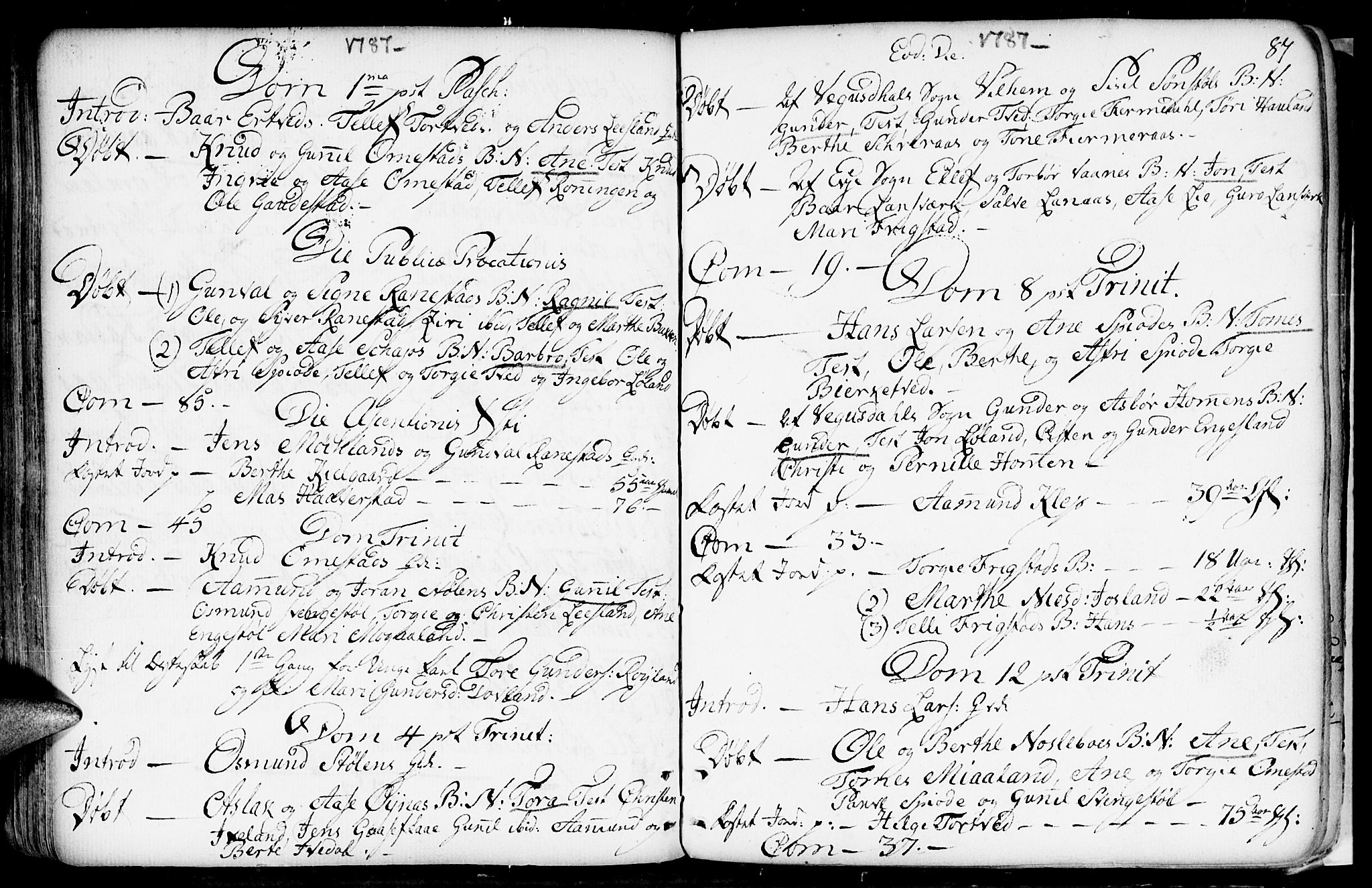 Evje sokneprestkontor, AV/SAK-1111-0008/F/Fa/Fac/L0002: Ministerialbok nr. A 2, 1765-1816, s. 87