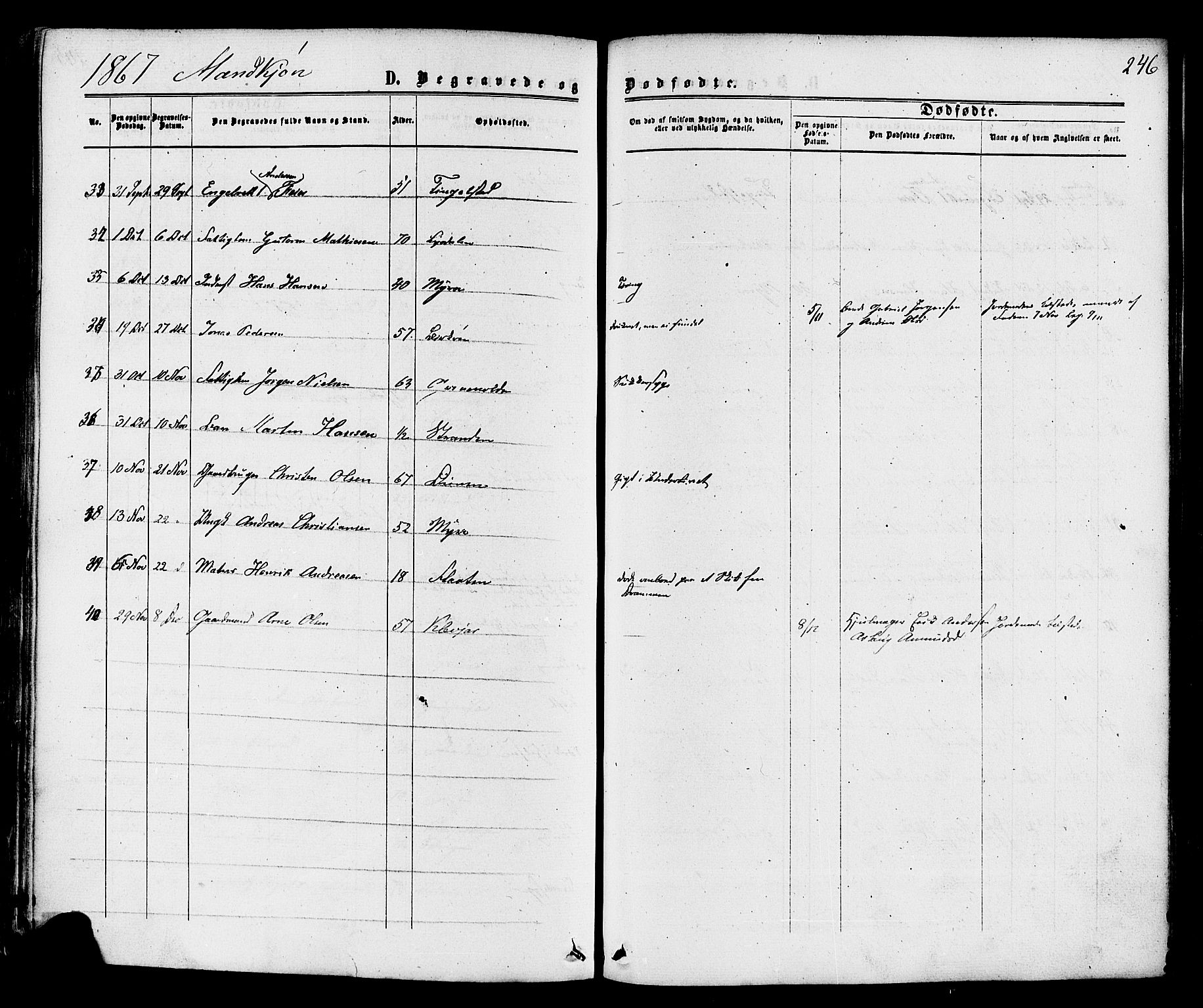 Sande Kirkebøker, AV/SAKO-A-53/F/Fa/L0005: Ministerialbok nr. 5, 1865-1877, s. 246