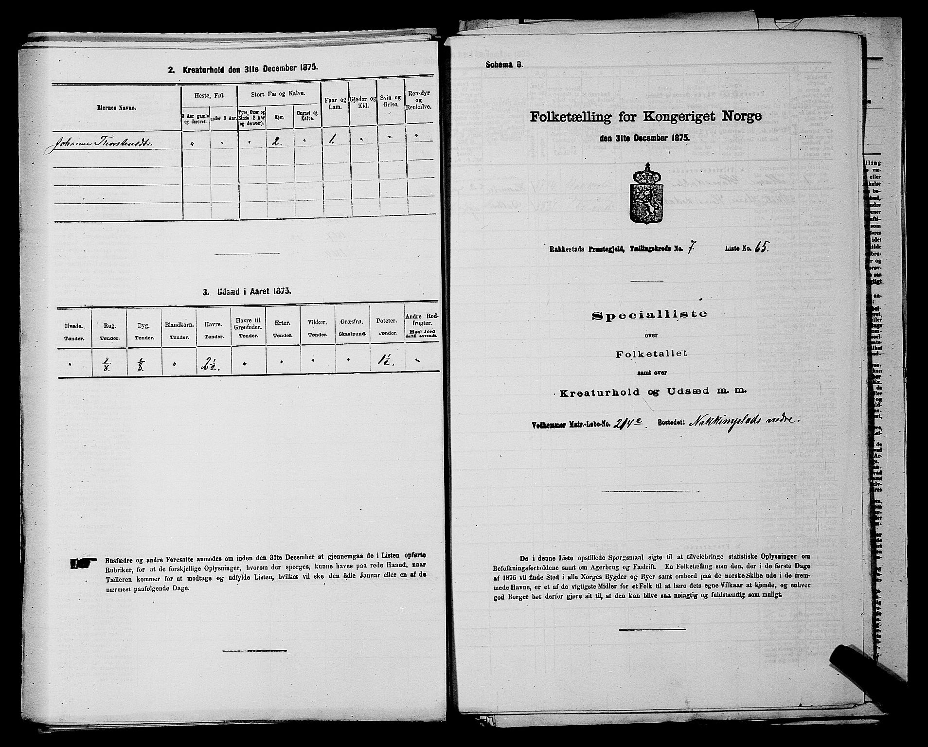 RA, Folketelling 1875 for 0128P Rakkestad prestegjeld, 1875, s. 918