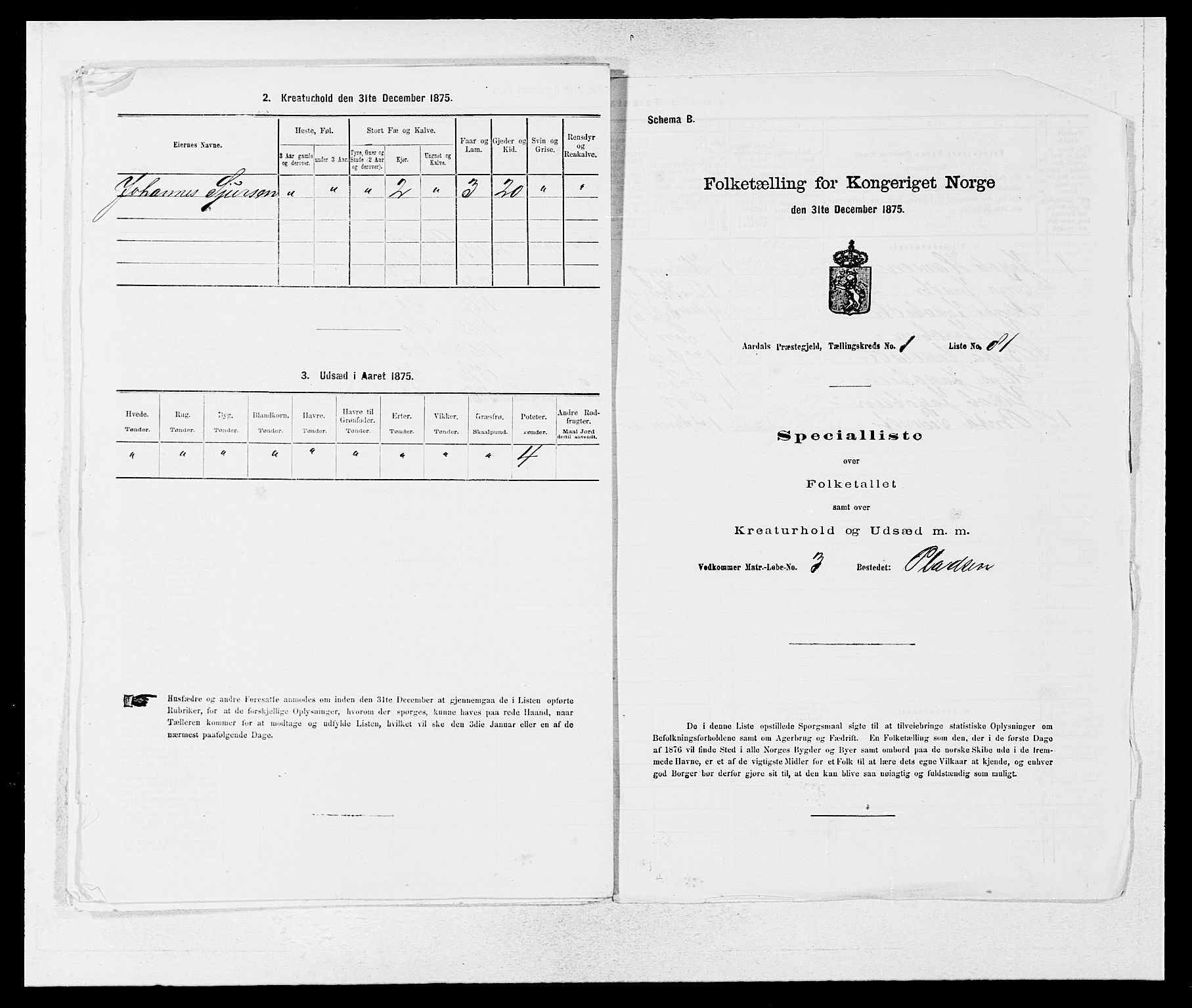 SAB, Folketelling 1875 for 1424P Årdal prestegjeld, 1875, s. 174