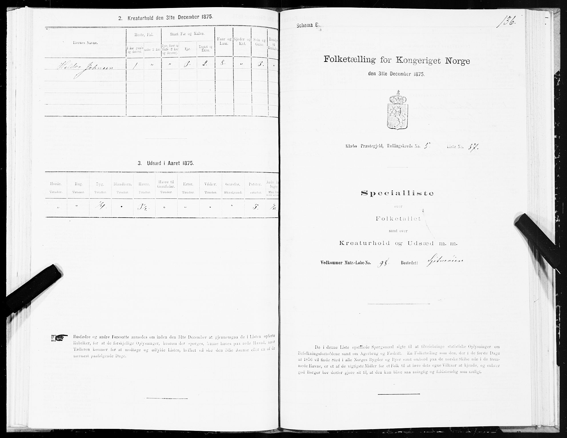 SAT, Folketelling 1875 for 1662P Klæbu prestegjeld, 1875, s. 2136